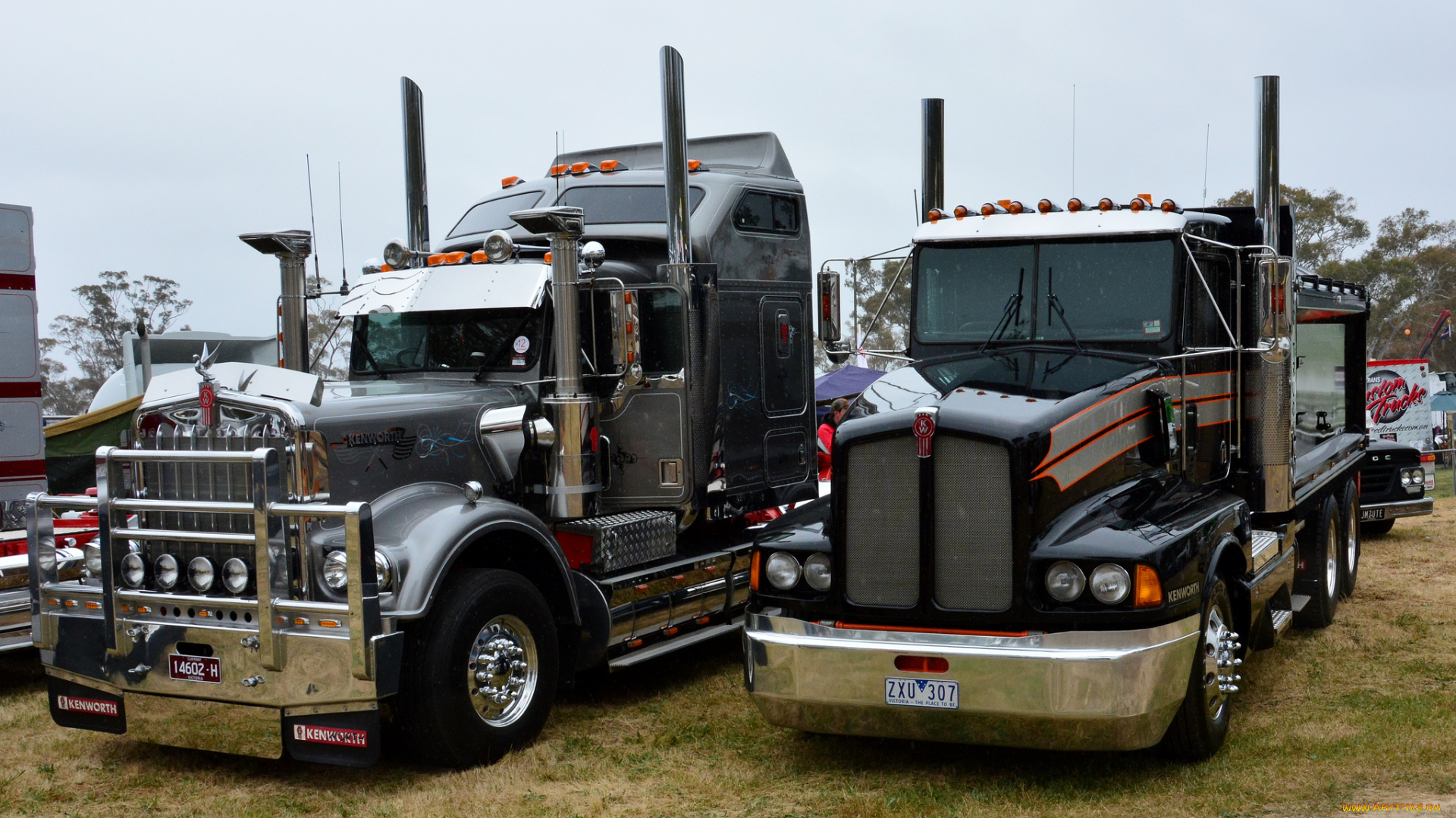 kenworths, автомобили, kenworth, автобусы, truck, company, сша