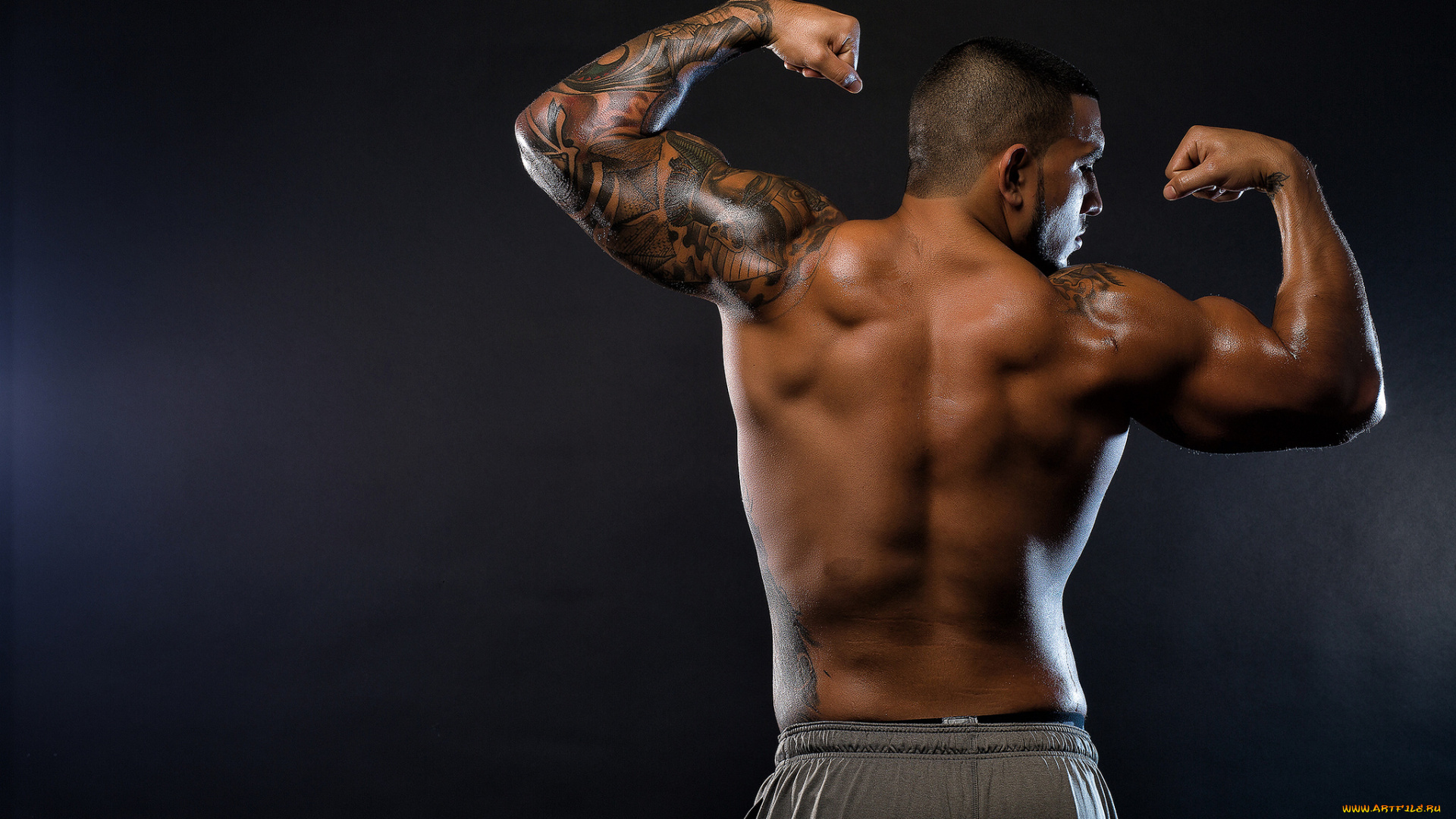 мужчины, -, unsort, mia, fitness, парень, атлет, тело, спина, татуировки