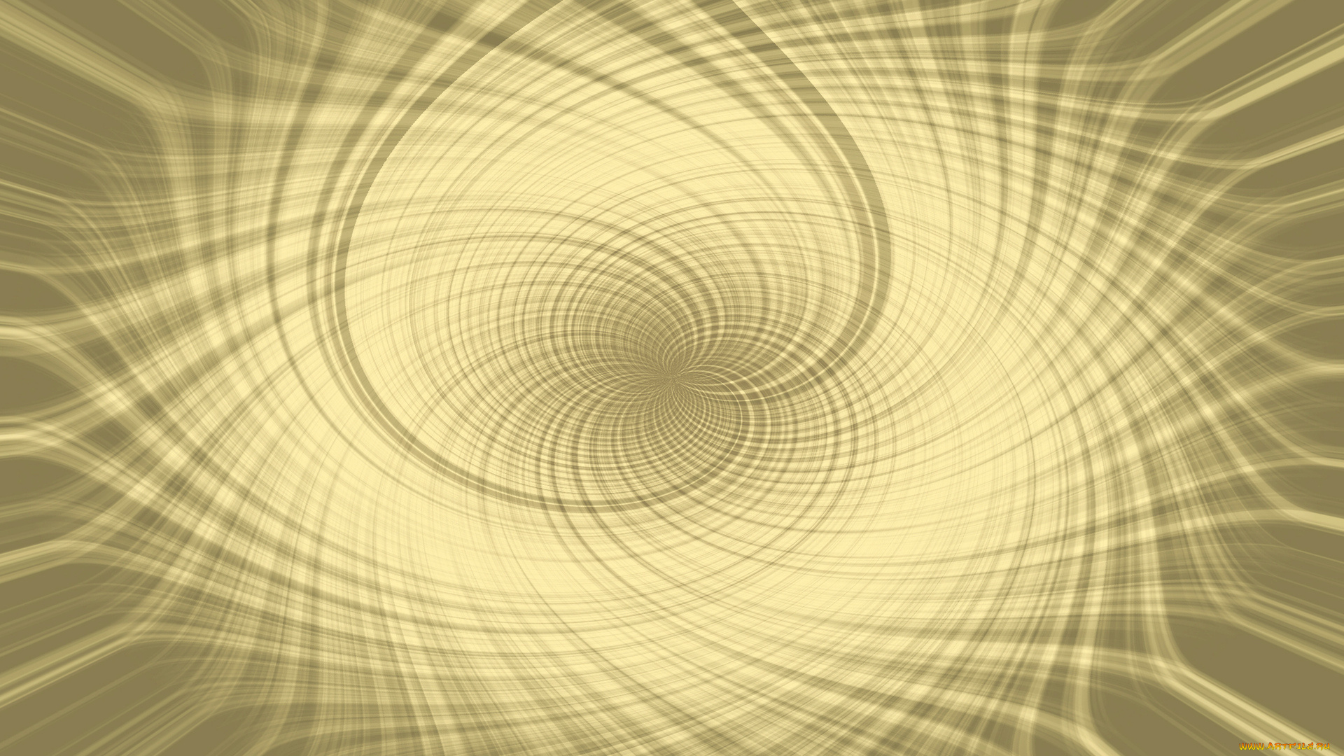 векторная, графика, цветок, линии, размытость