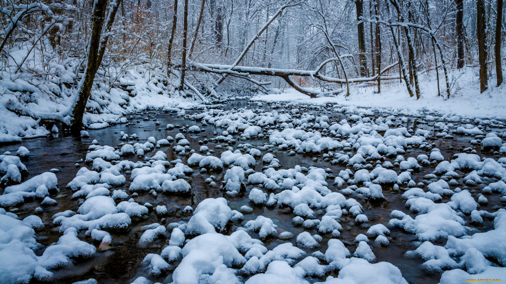 winton, woods, , cincinnati, , ohio, природа, зима, лес, река, снег, winton, woods, огайо, cincinnati, ohio, деревья