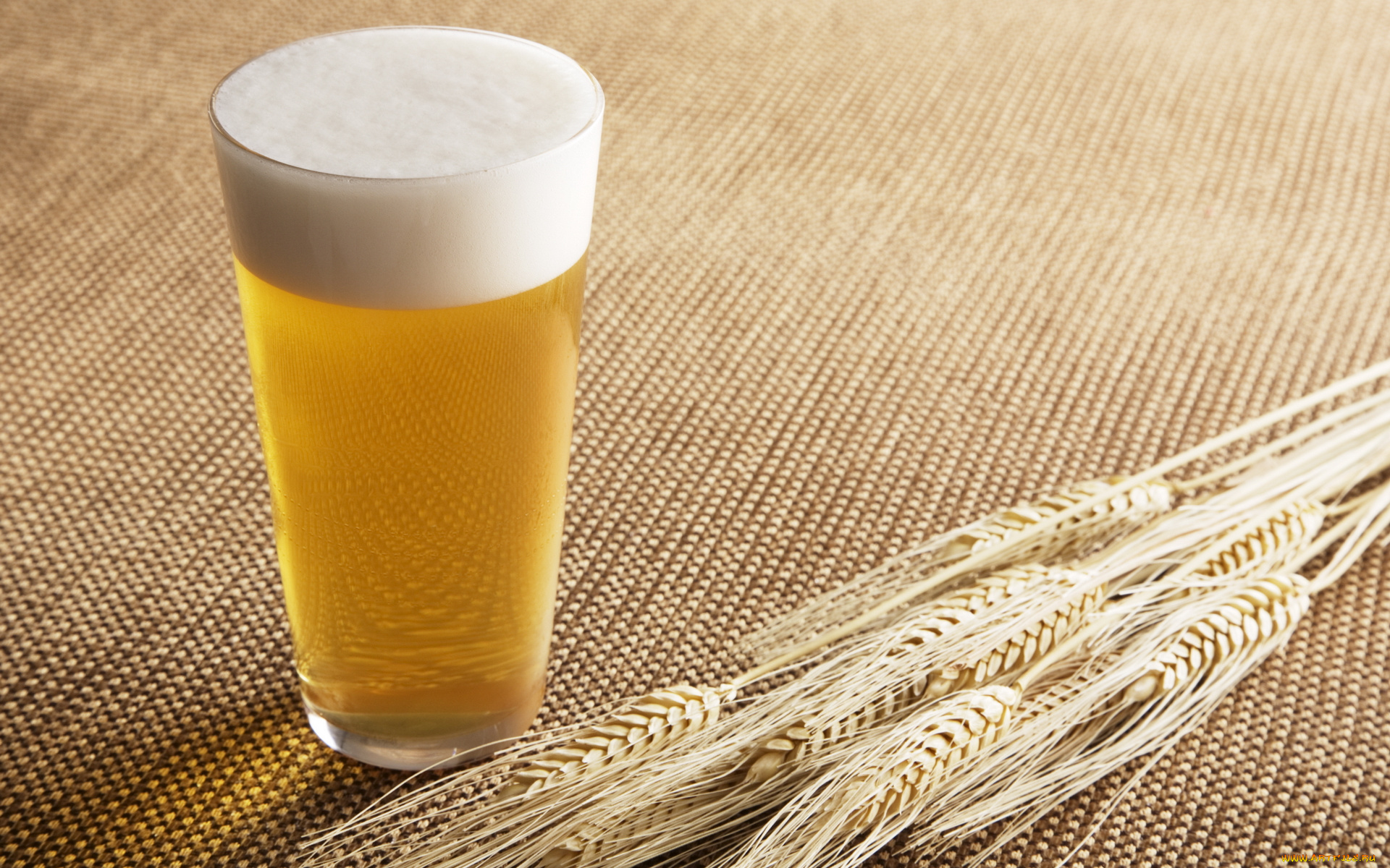 еда, напитки, , пиво, солод, пиво