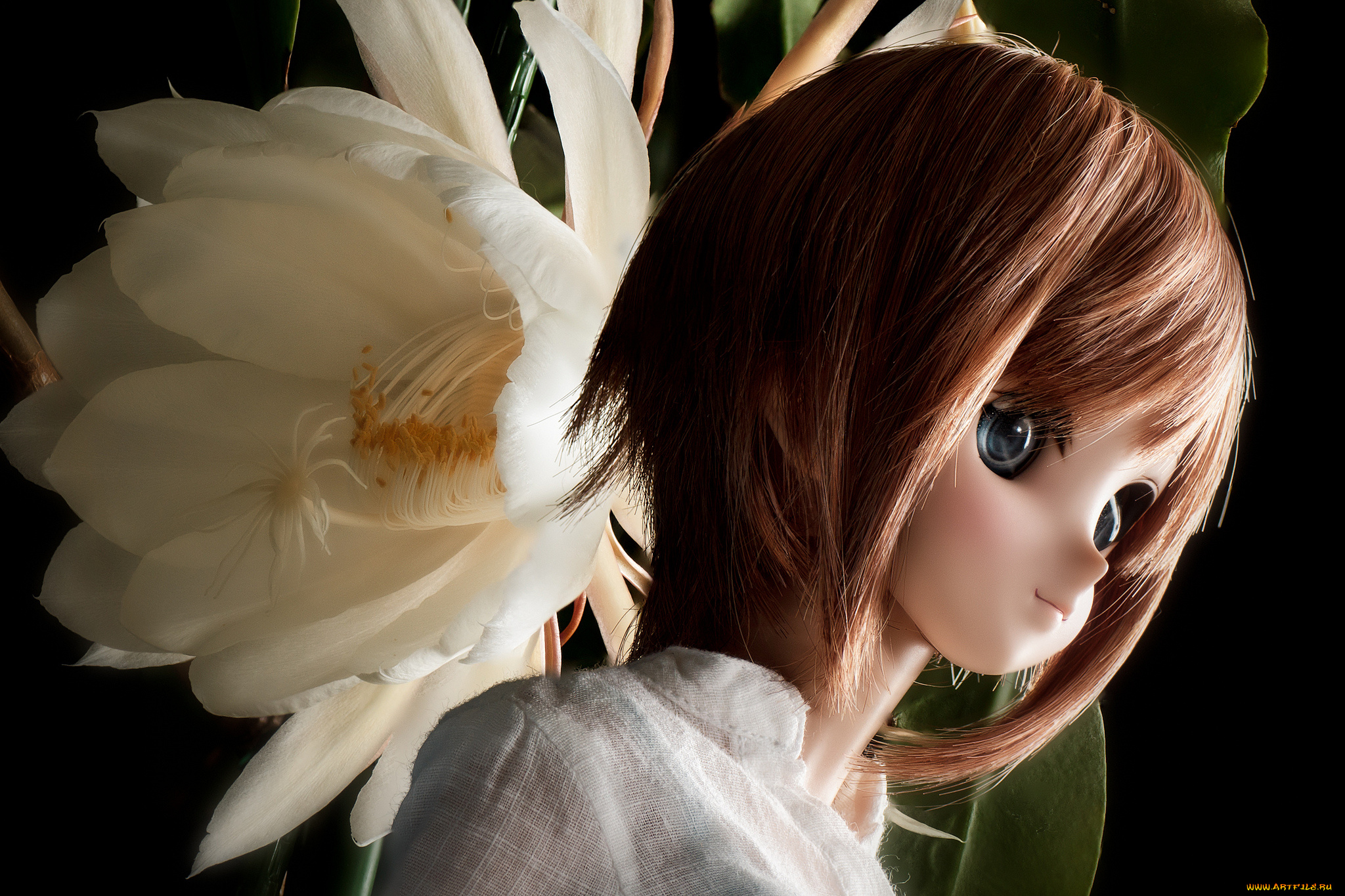 разное, игрушки, игрушка, кукла