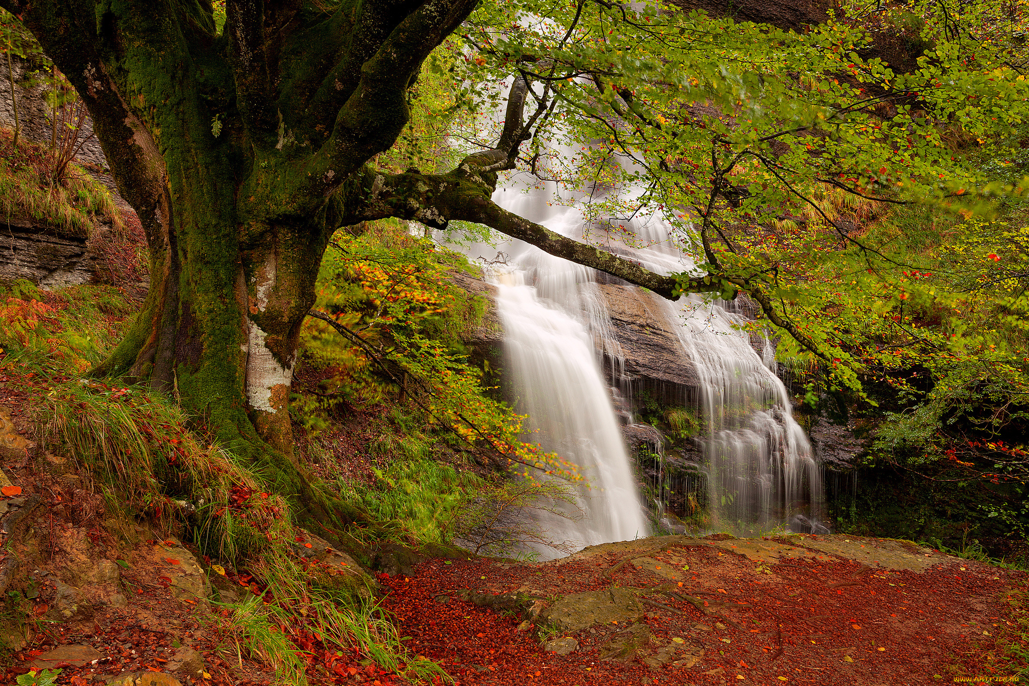 uguna, waterfall, , gorbea, natural, park, , bizkaia, , spain, природа, водопады, uguna, waterfall, водопад, spain, дерево, gorbea, natural, park, испания, природный, парк, горбеа, бискайя, bizkaia