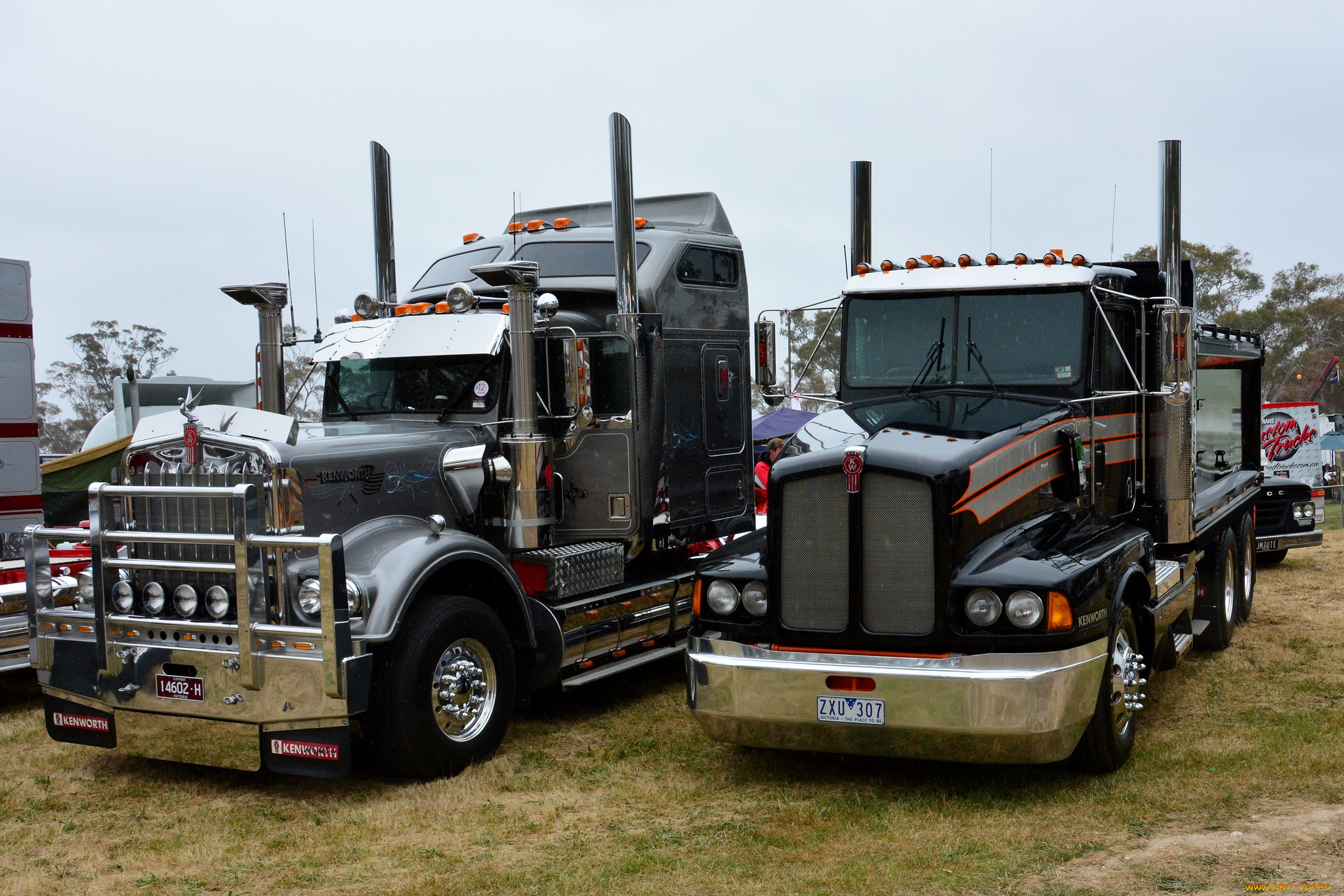 kenworths, автомобили, kenworth, автобусы, truck, company, сша