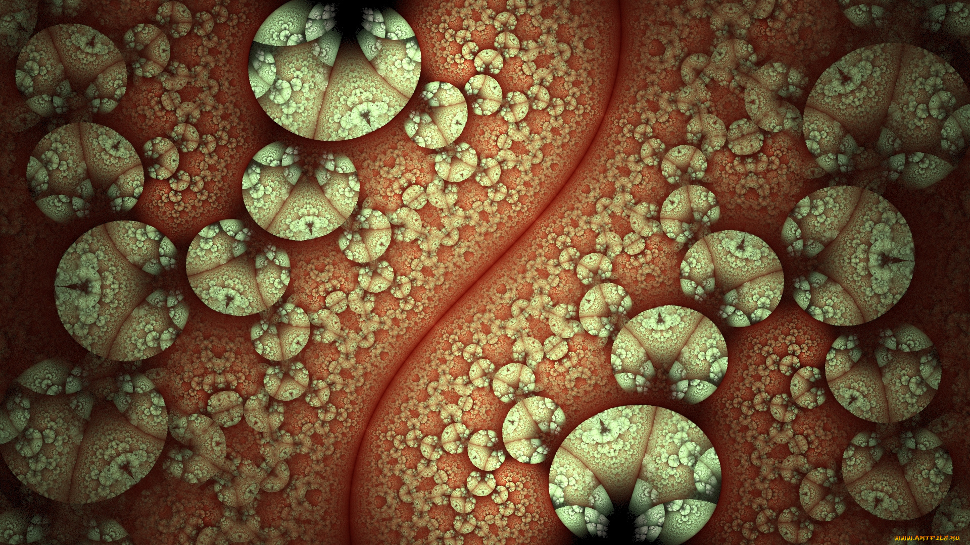 3д, графика, фракталы, , fractal, цвета, фон, узор