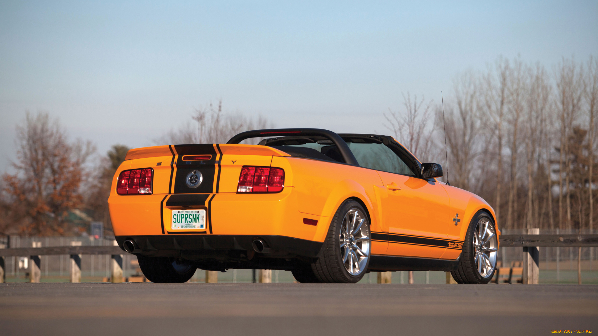 автомобили, mustang