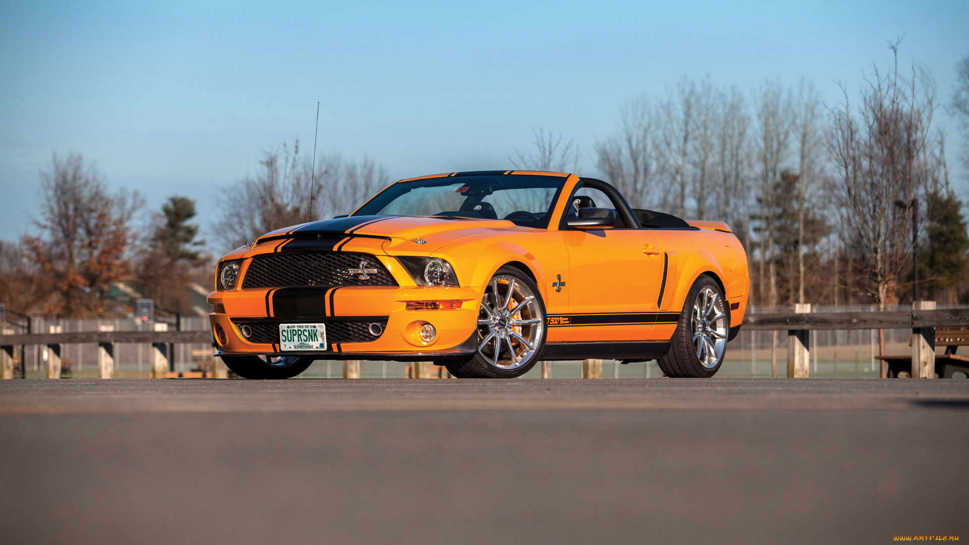 автомобили, mustang