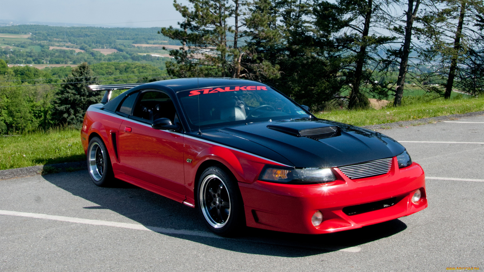 автомобили, mustang