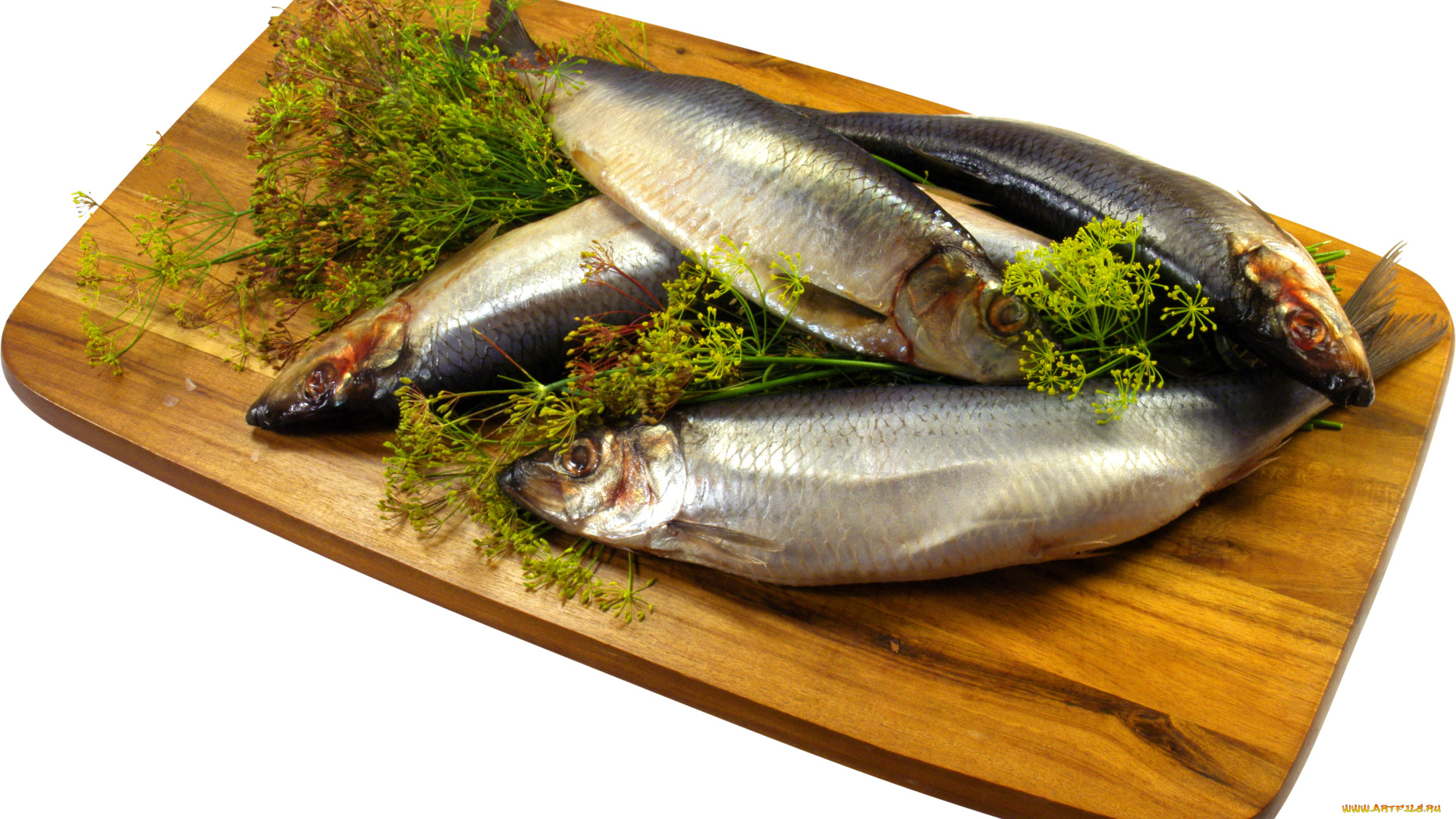 еда, рыба, , морепродукты, , суши, , роллы, укроп, селедка