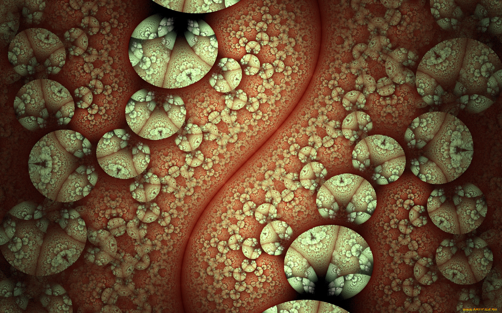 3д, графика, фракталы, , fractal, цвета, фон, узор