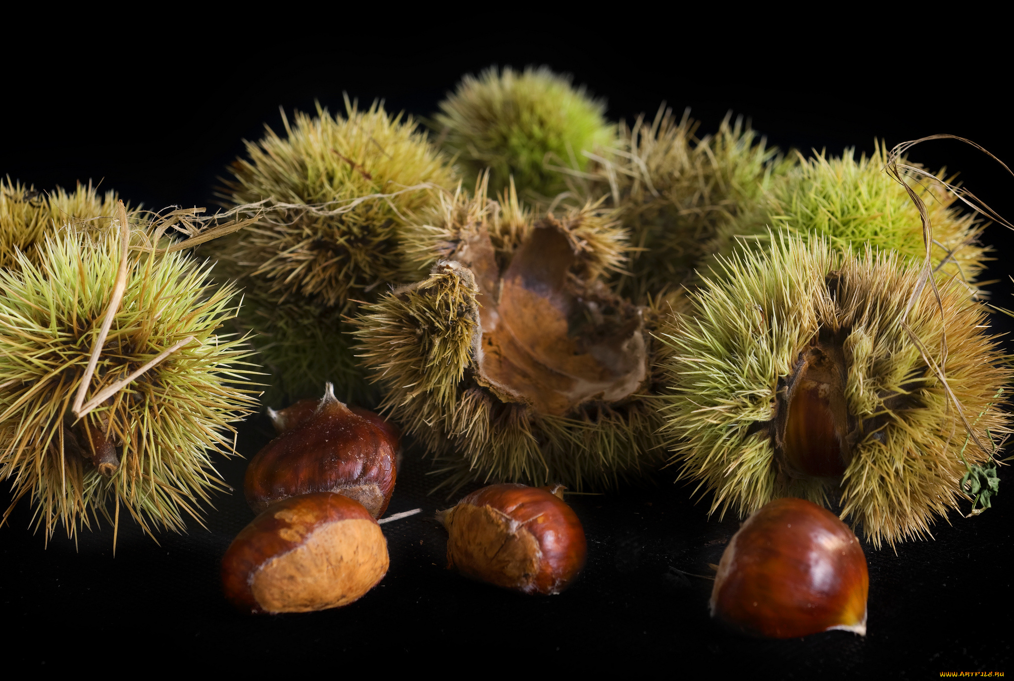 еда, орехи, , каштаны, , какао-бобы, колючки, каштаны