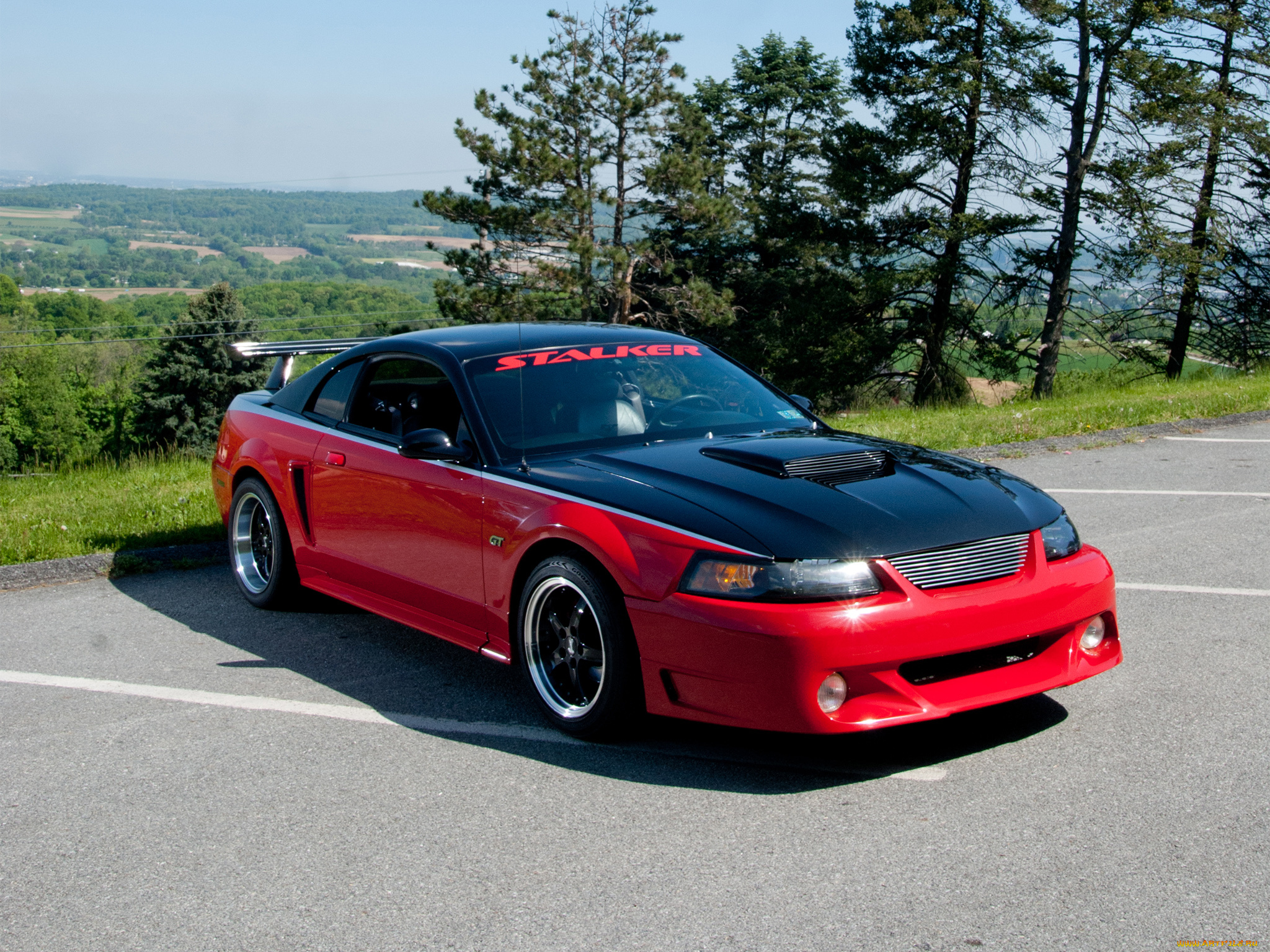 автомобили, mustang