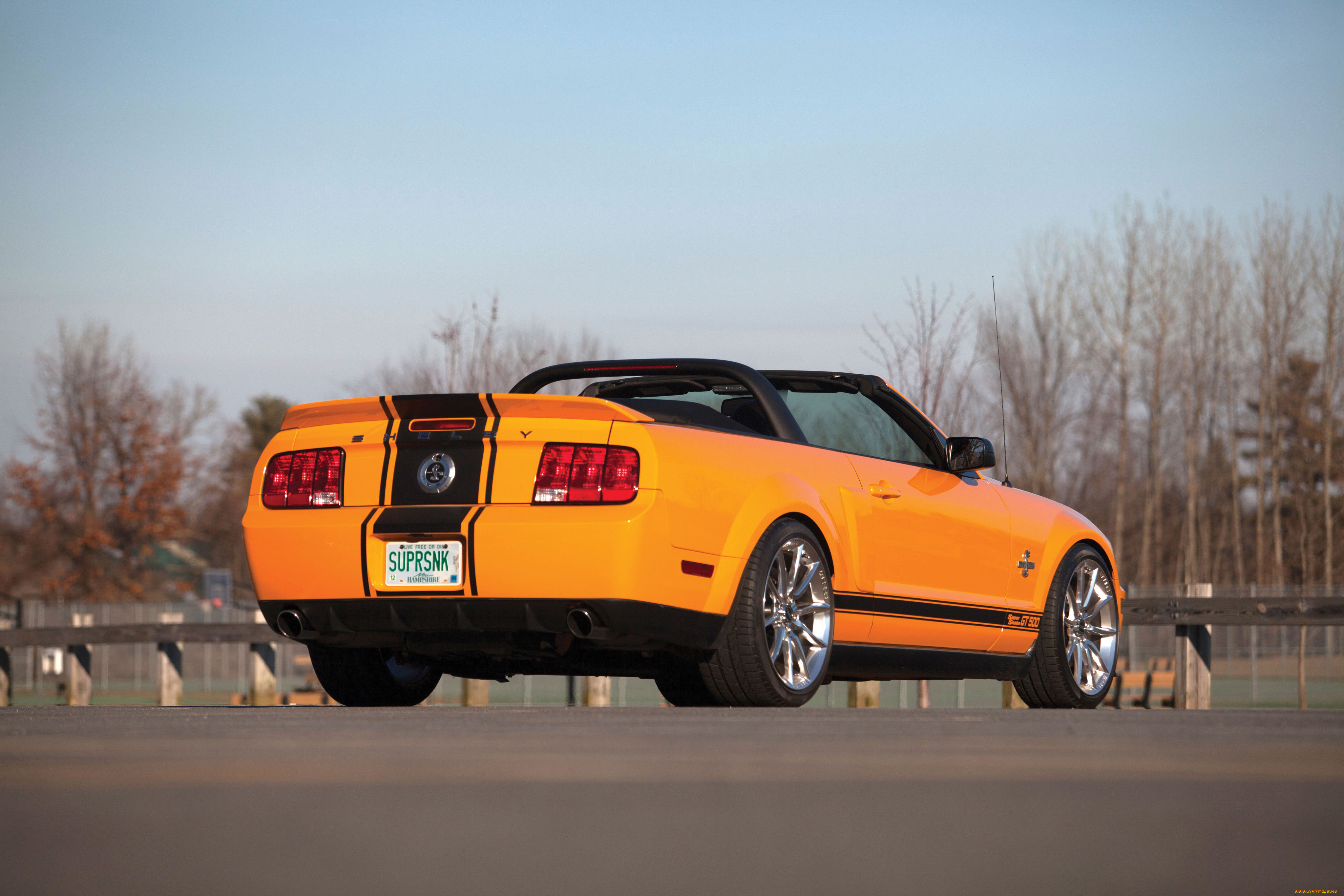 автомобили, mustang