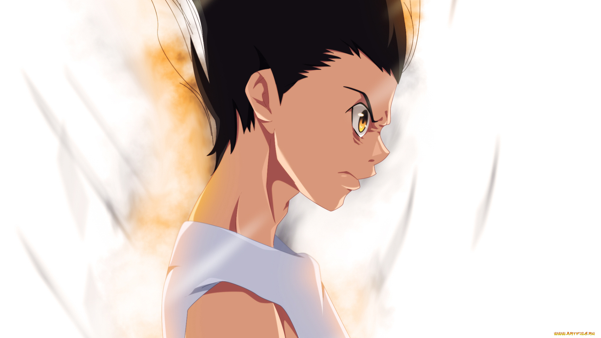 аниме, hunter, x, hunter, гон, фрикс, злость