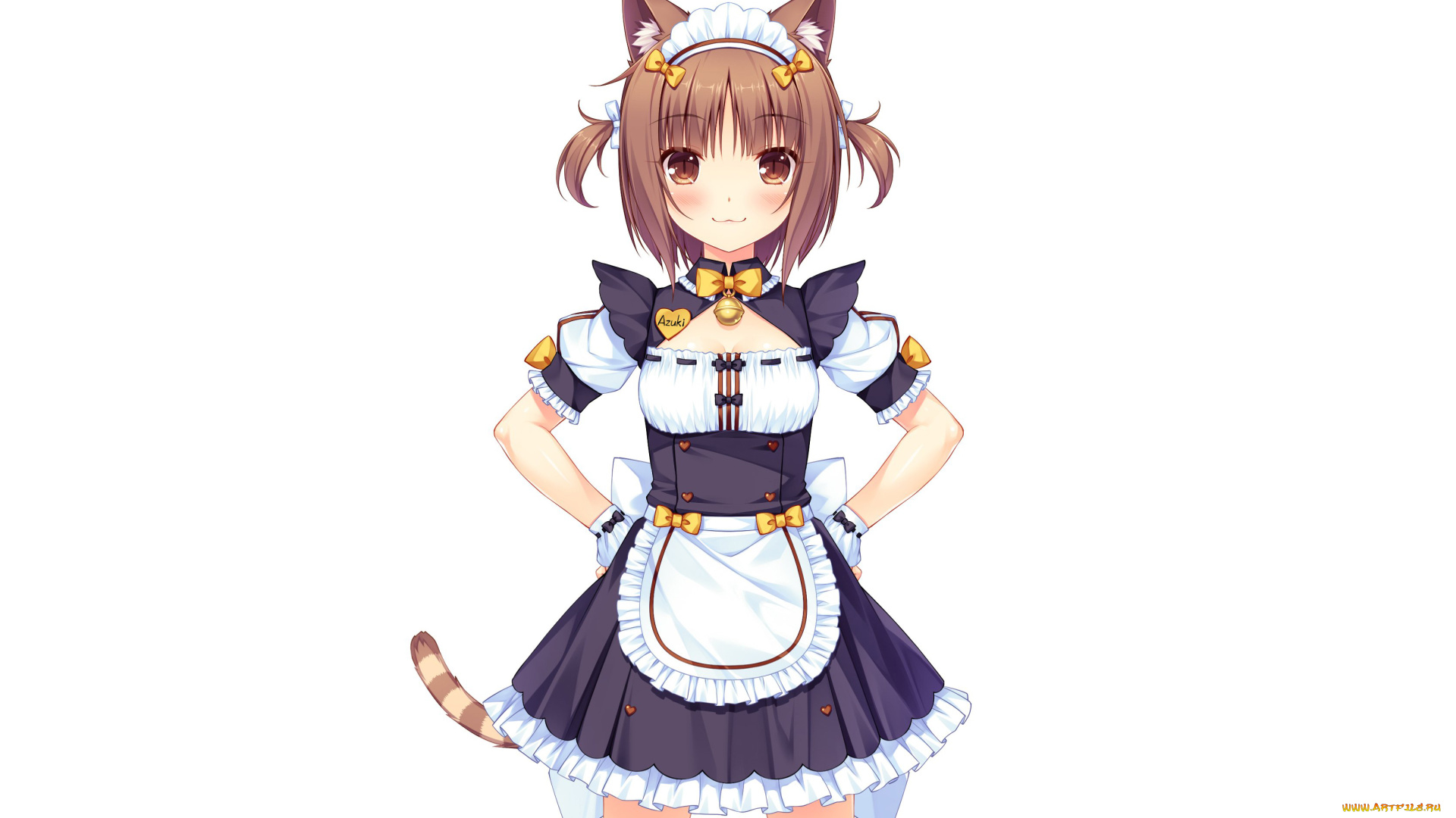 аниме, nekopara, девушка, взгляд, фон