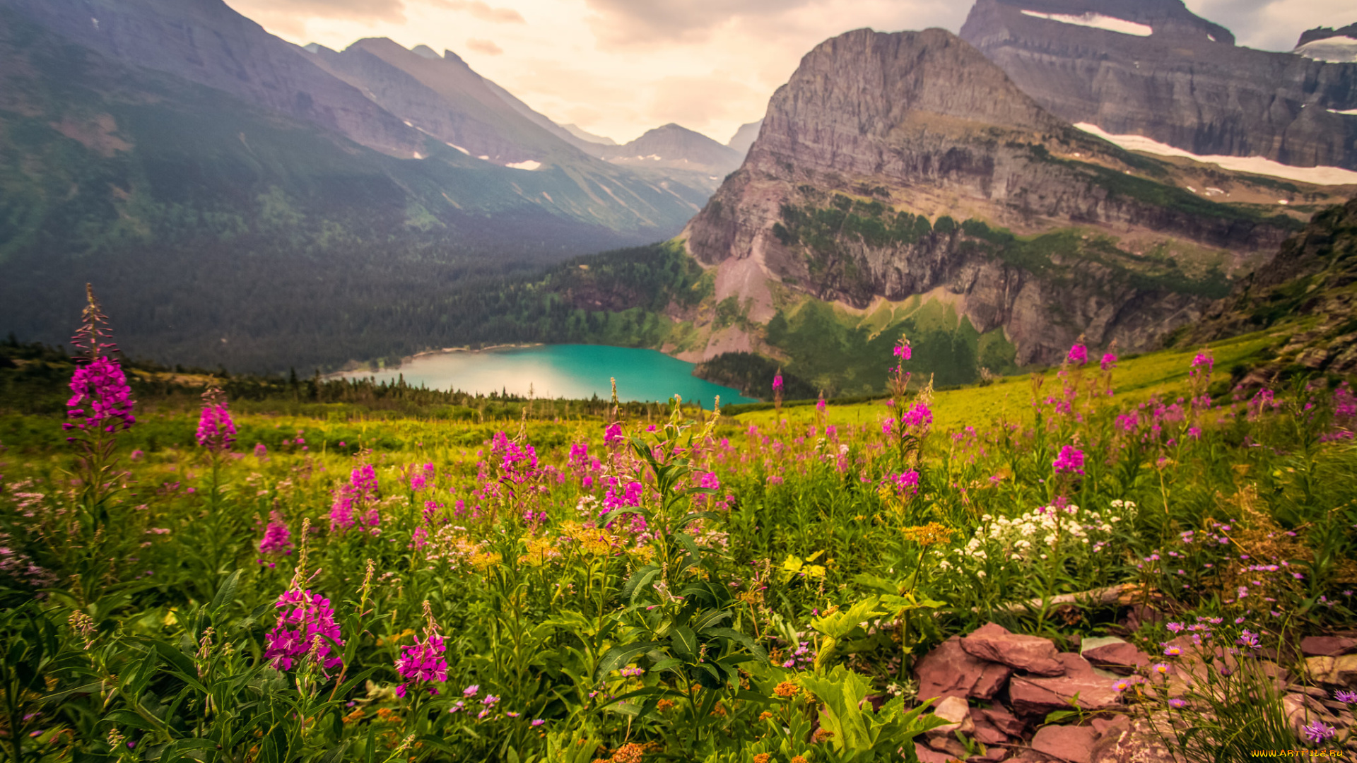 природа, реки, озера, лес, река