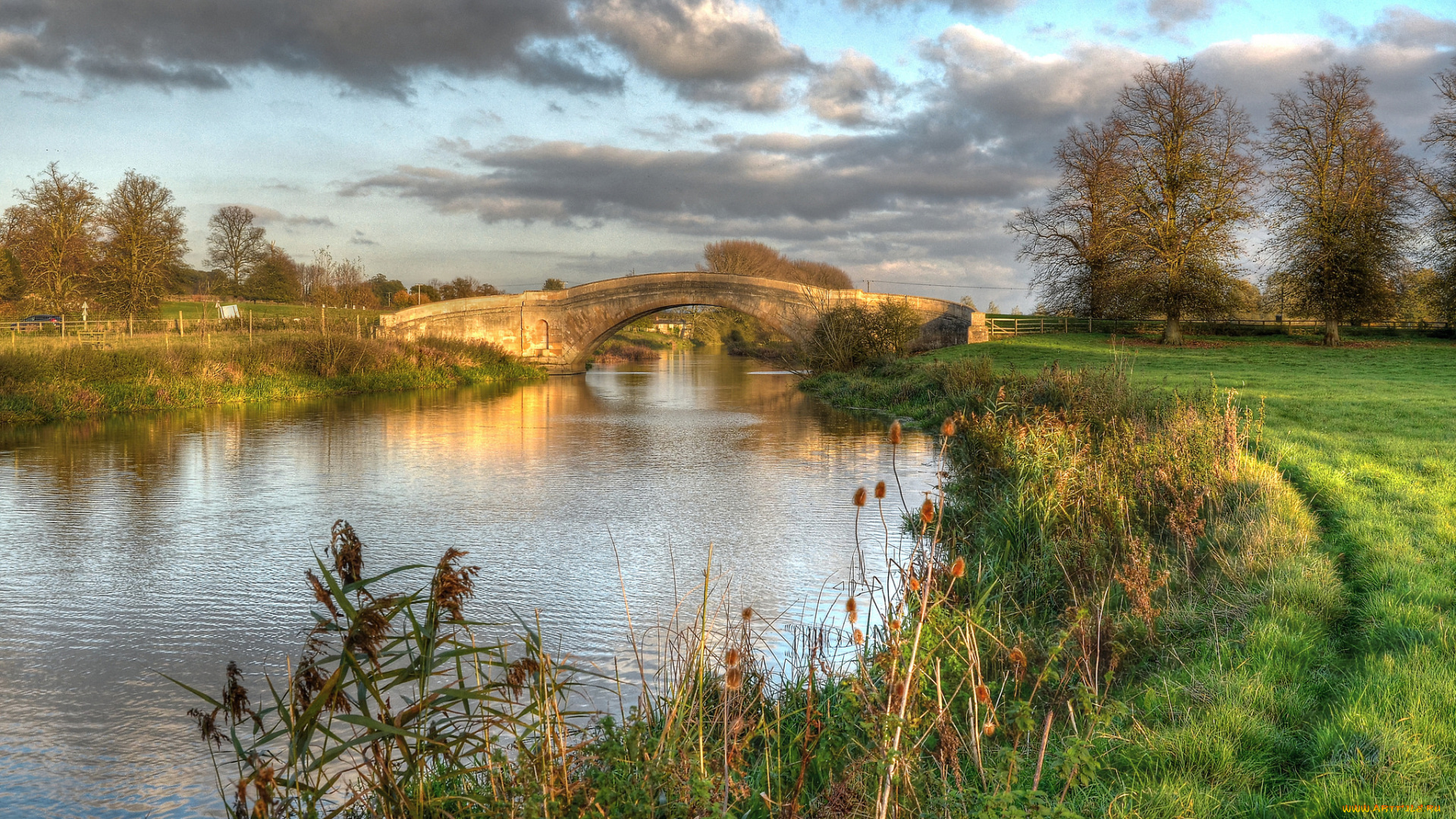 природа, реки, озера, река, лес