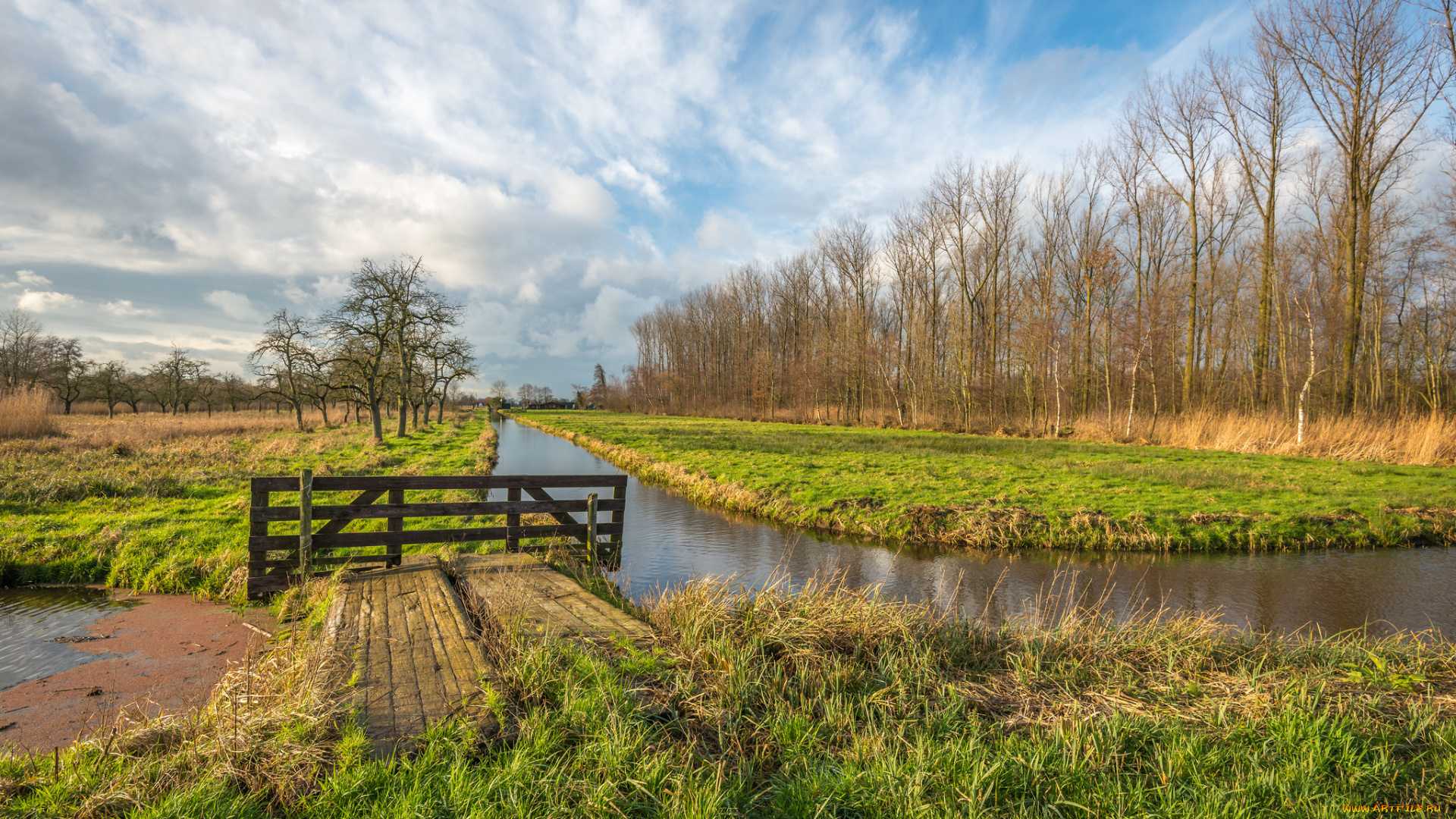 природа, реки, озера, река, лес