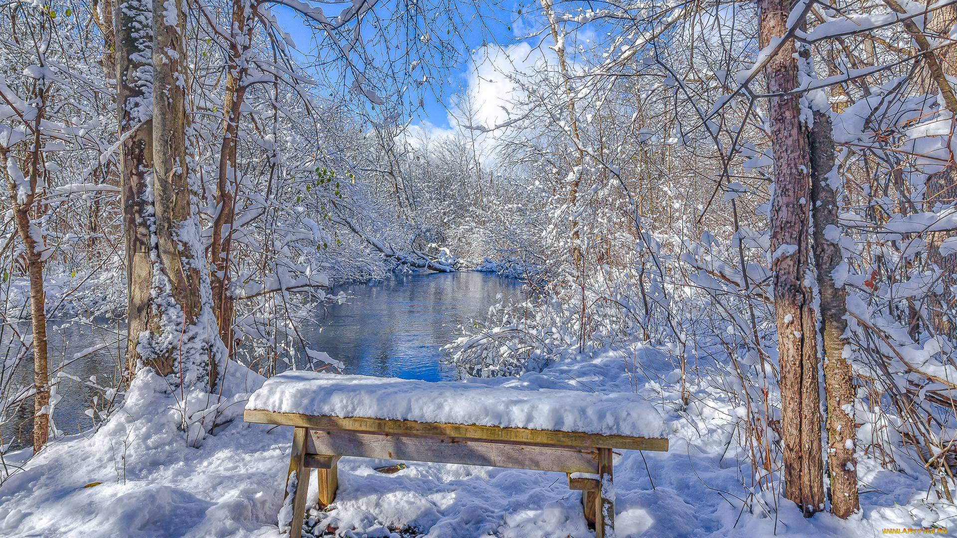 природа, зима, снег