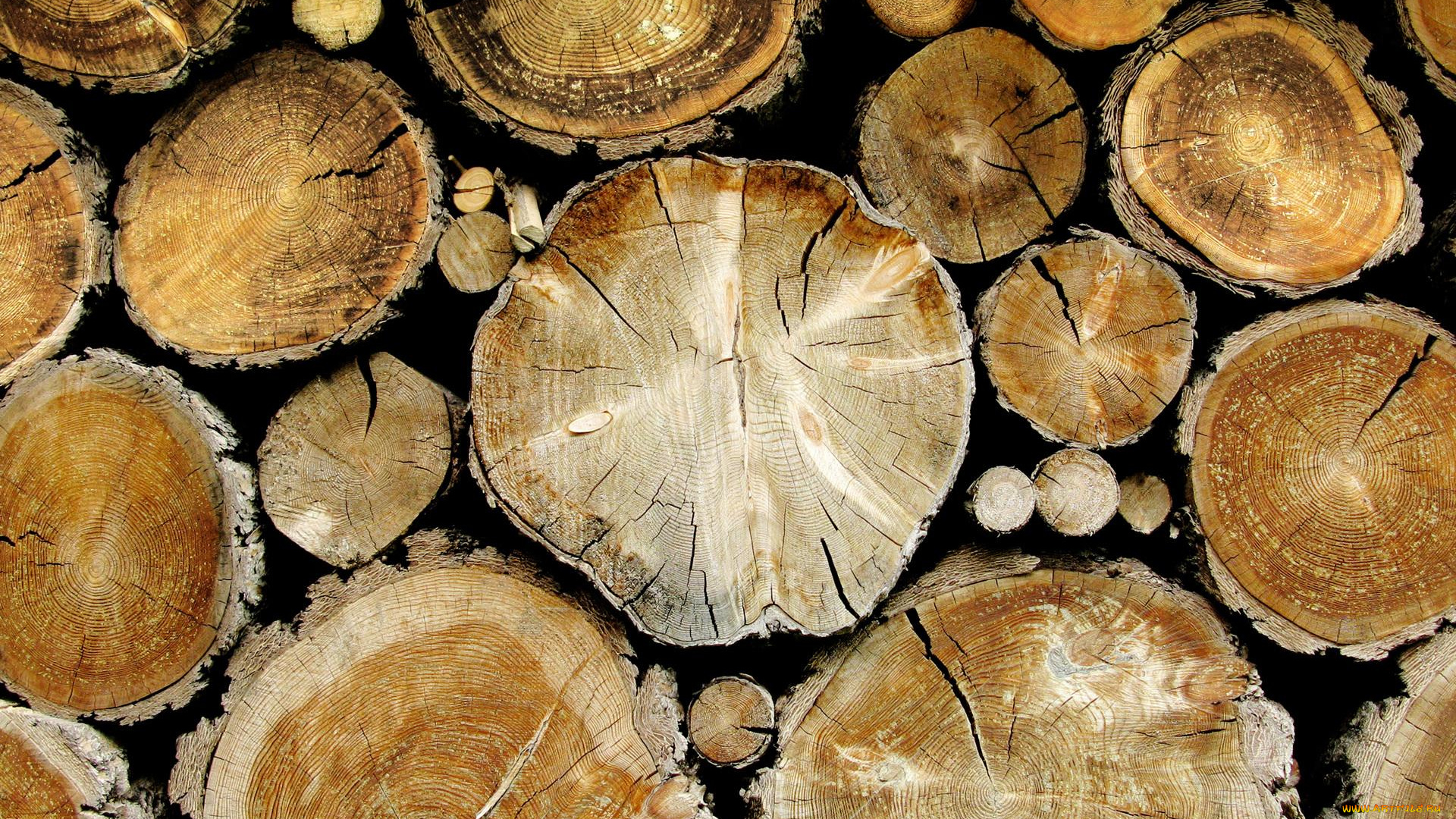 разное, текстуры, дрова, бревна, спилы