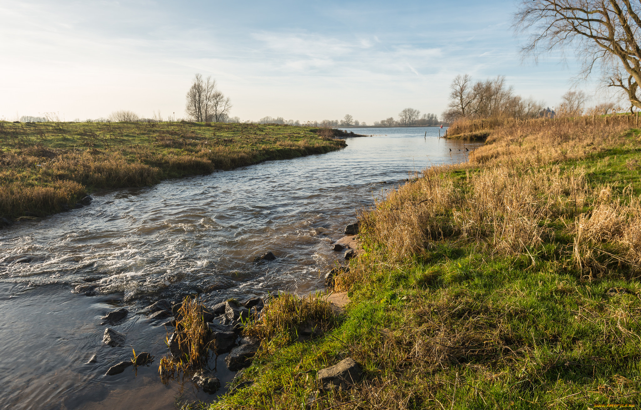 природа, реки, озера, река, лес