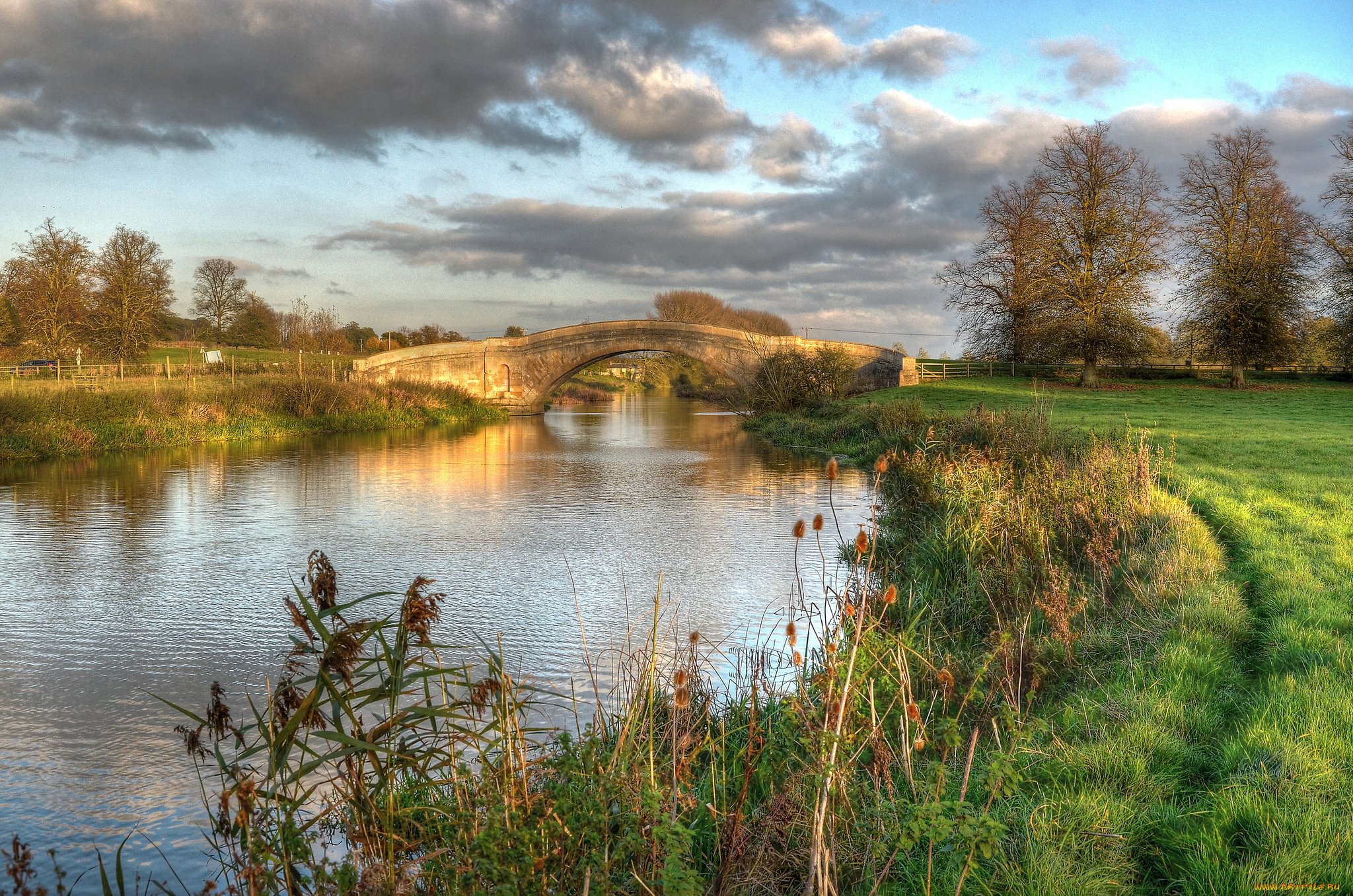 природа, реки, озера, река, лес