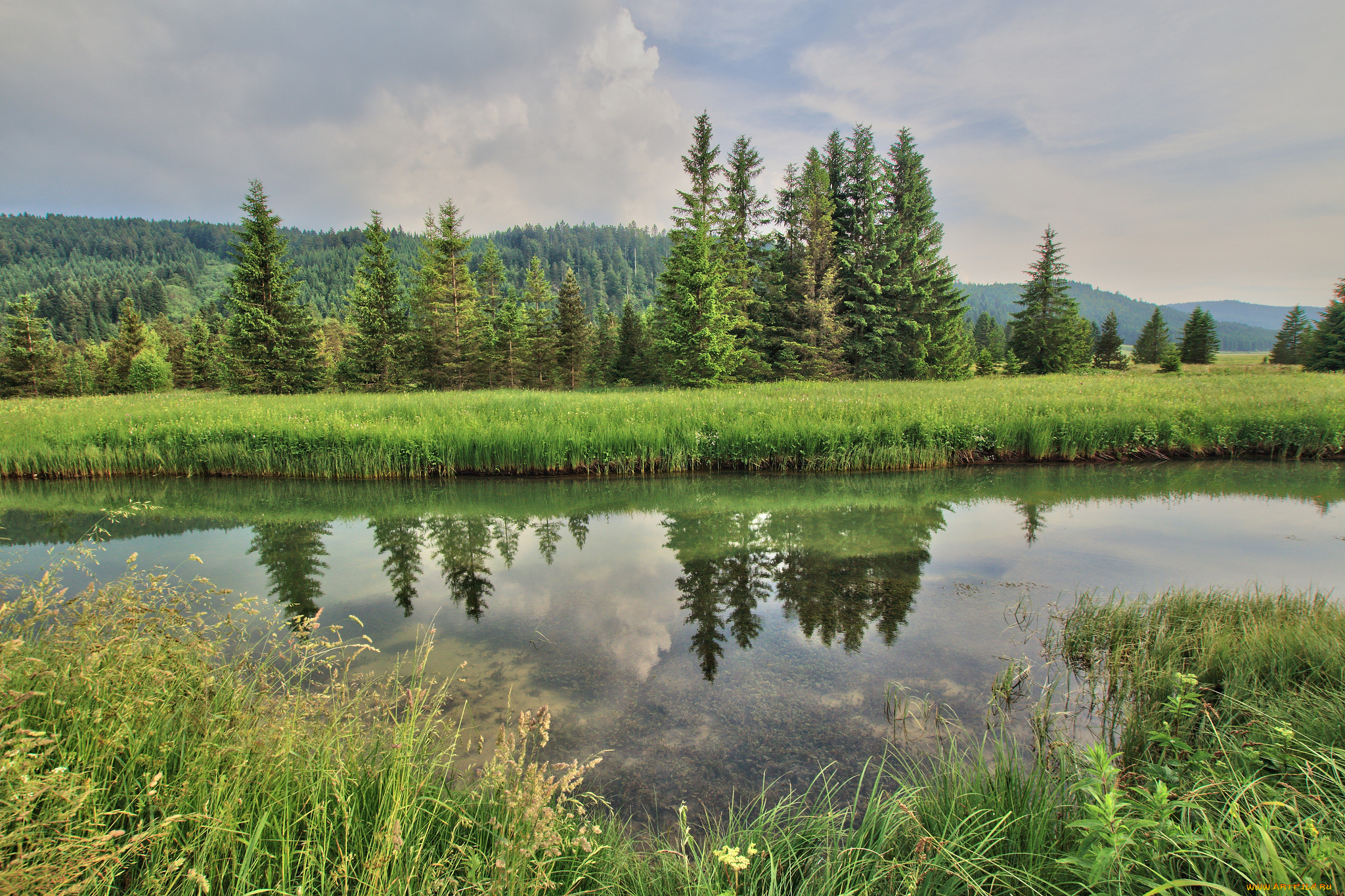 природа, реки, озера, река, лес