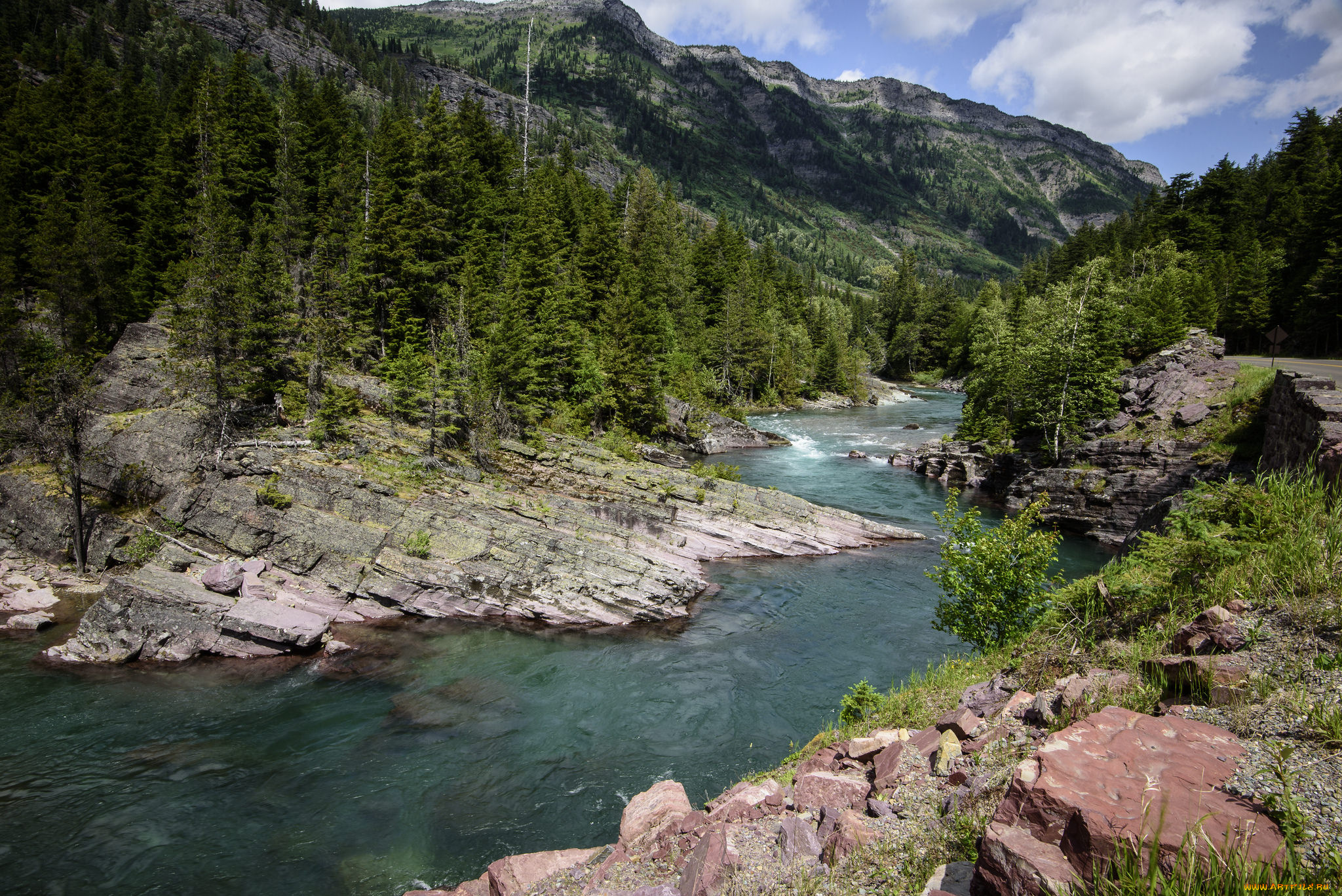 природа, реки, озера, лес, река