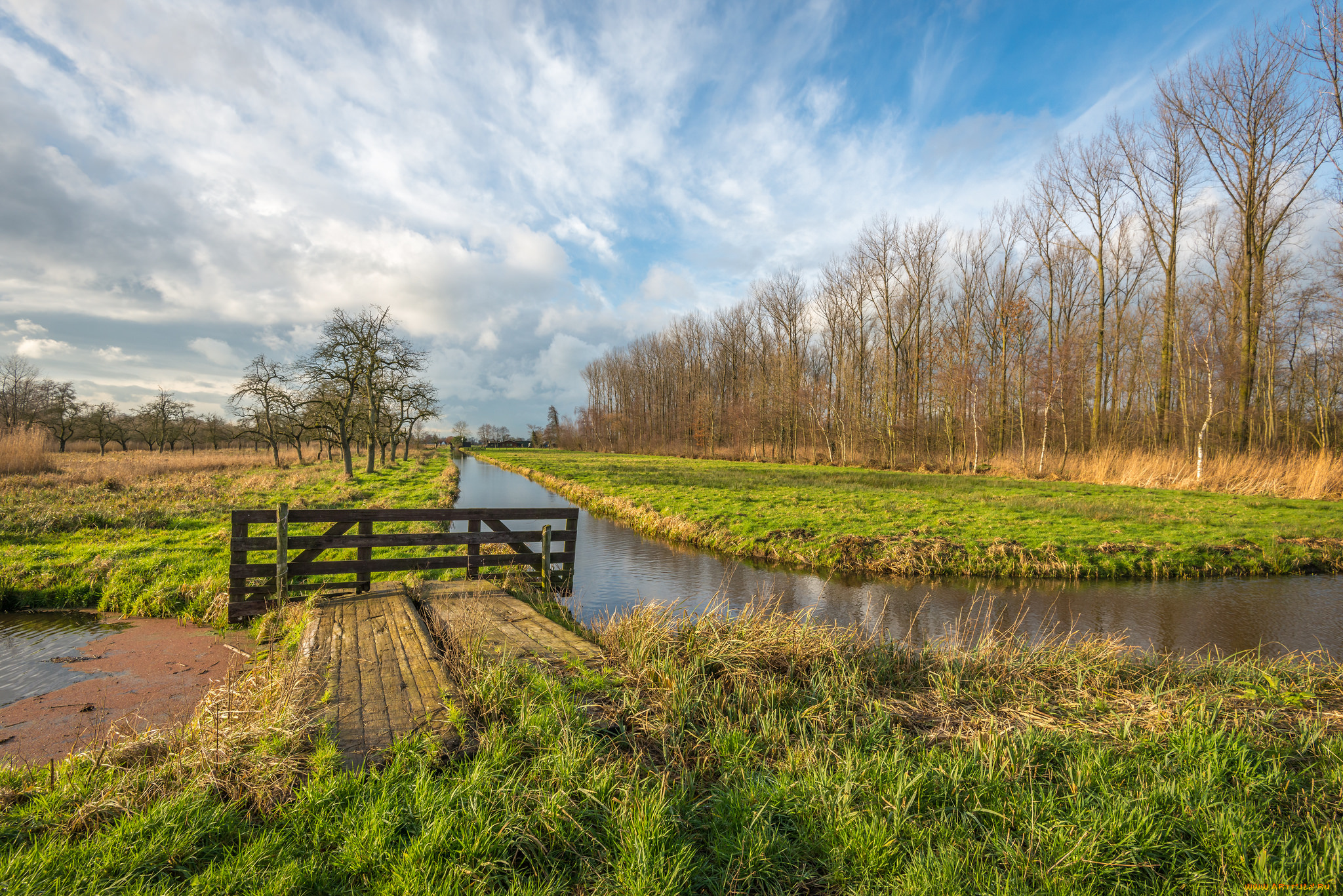 природа, реки, озера, река, лес