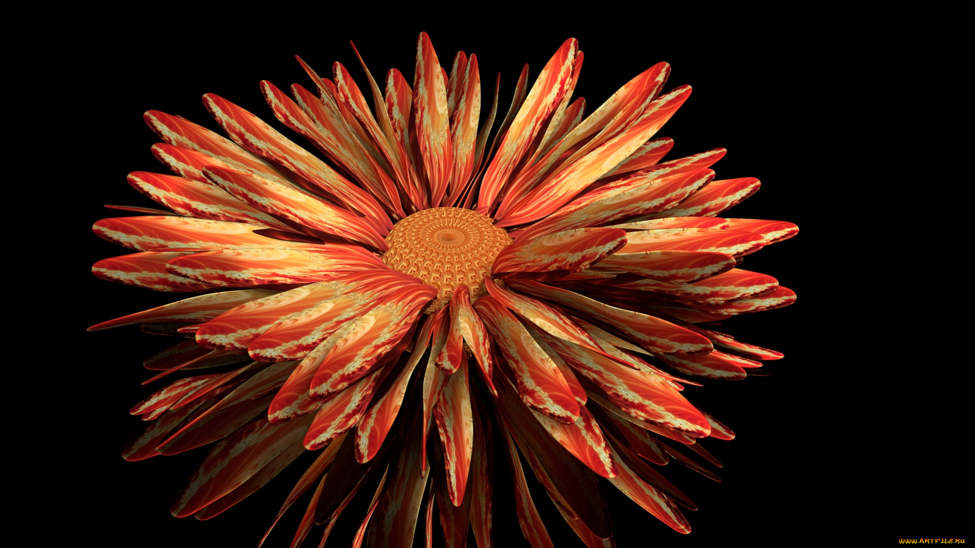 3д, графика, цветы, , flowers, фон, цветок