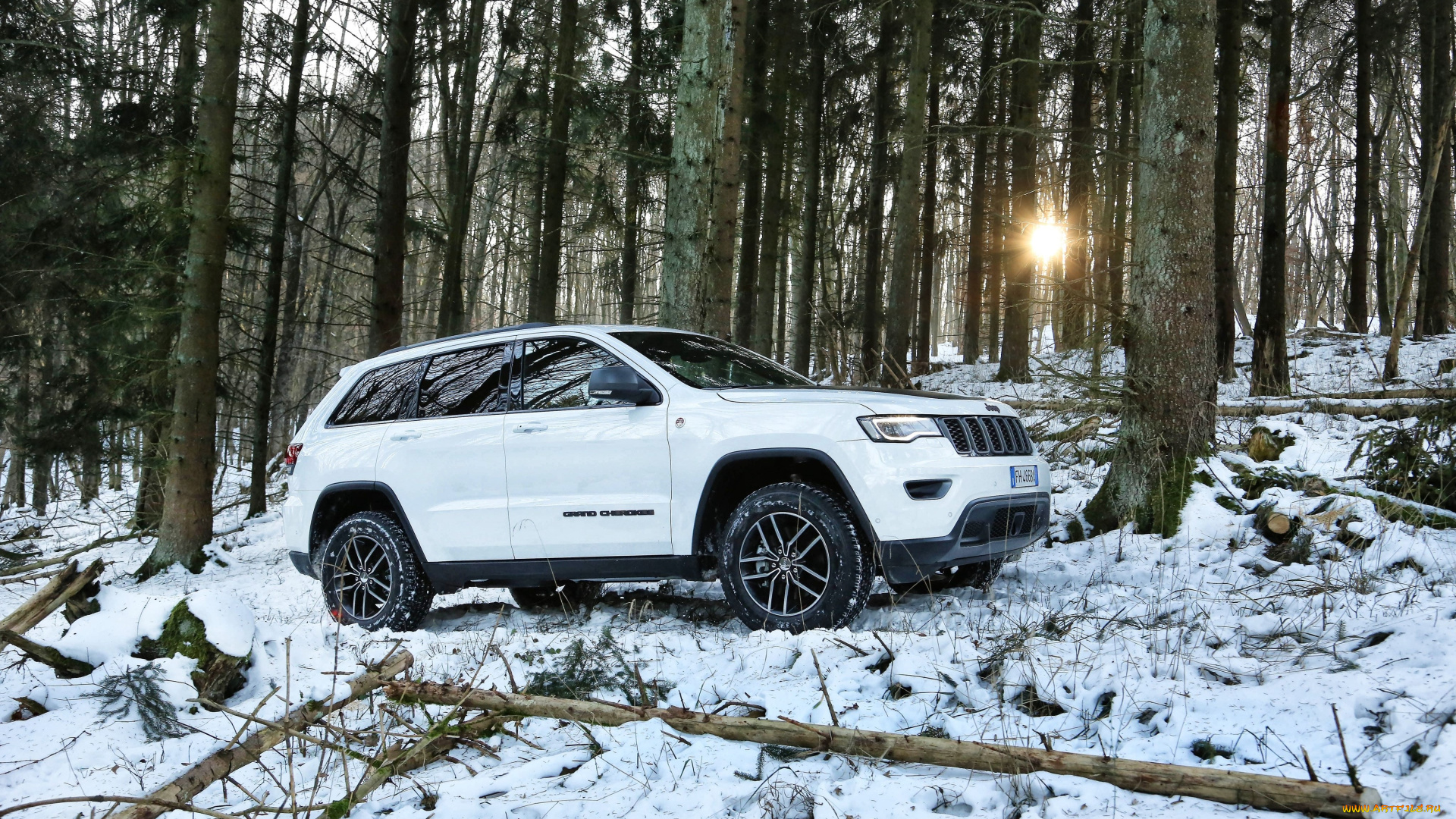 автомобили, jeep