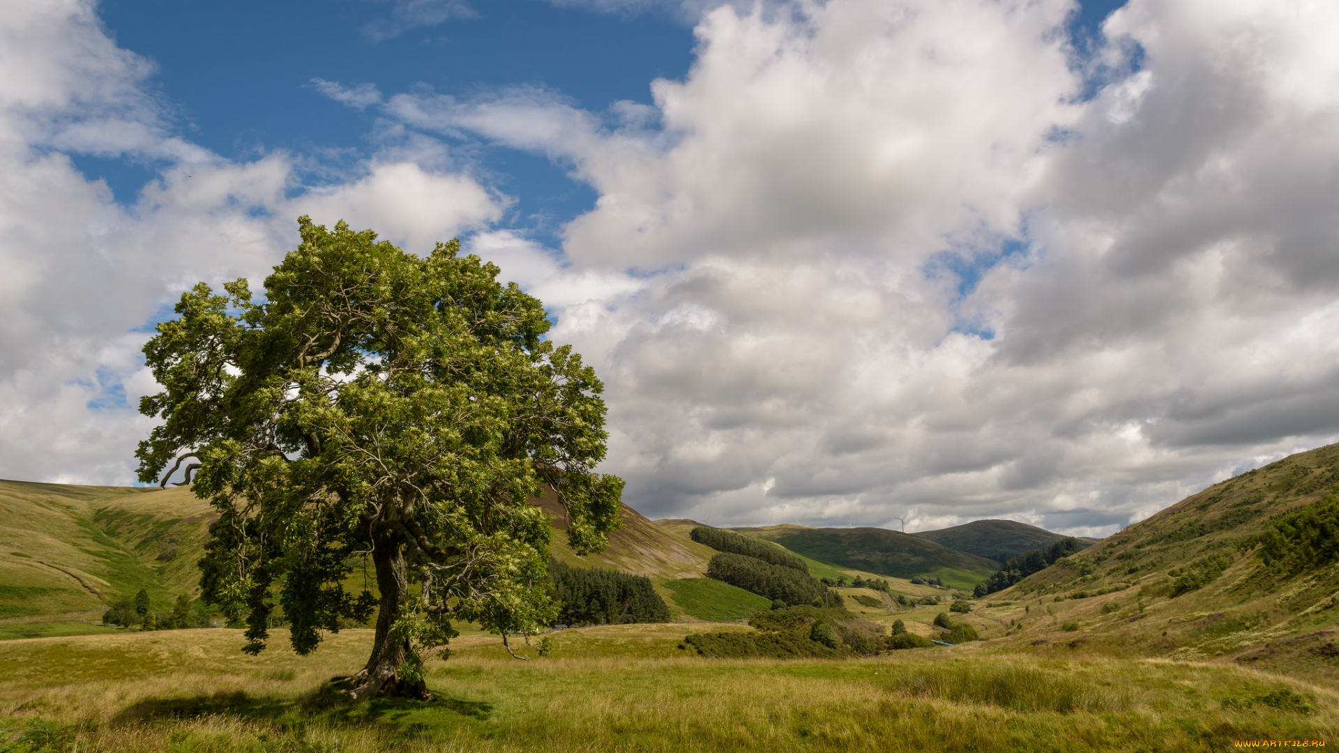 природа, пейзажи, простор