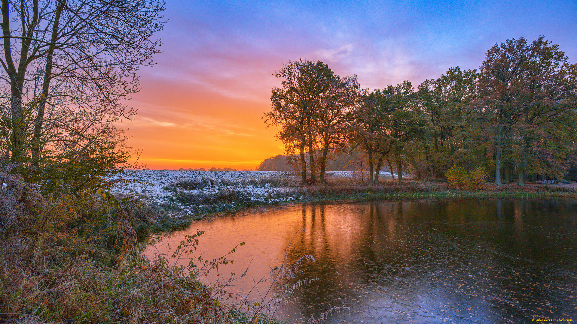 природа, реки, озера, лес, река