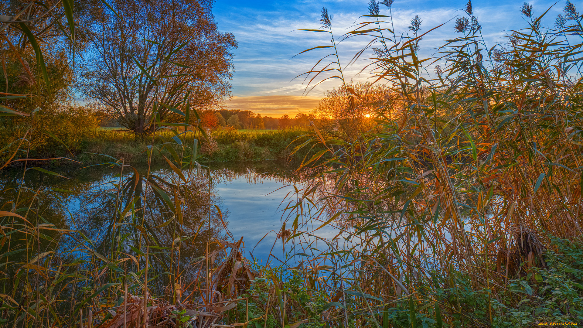 природа, реки, озера, лес, река