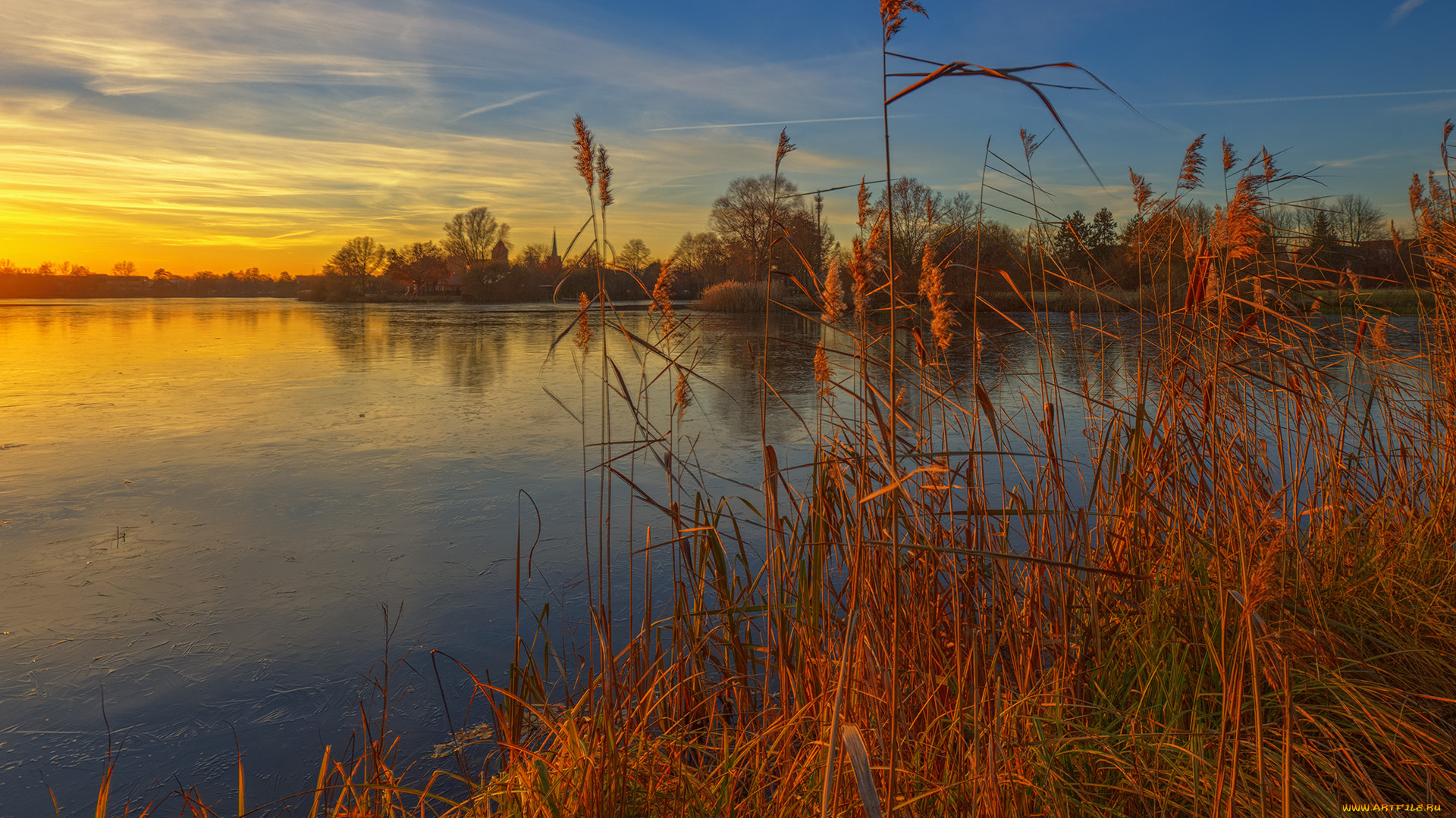 природа, реки, озера, лес, река