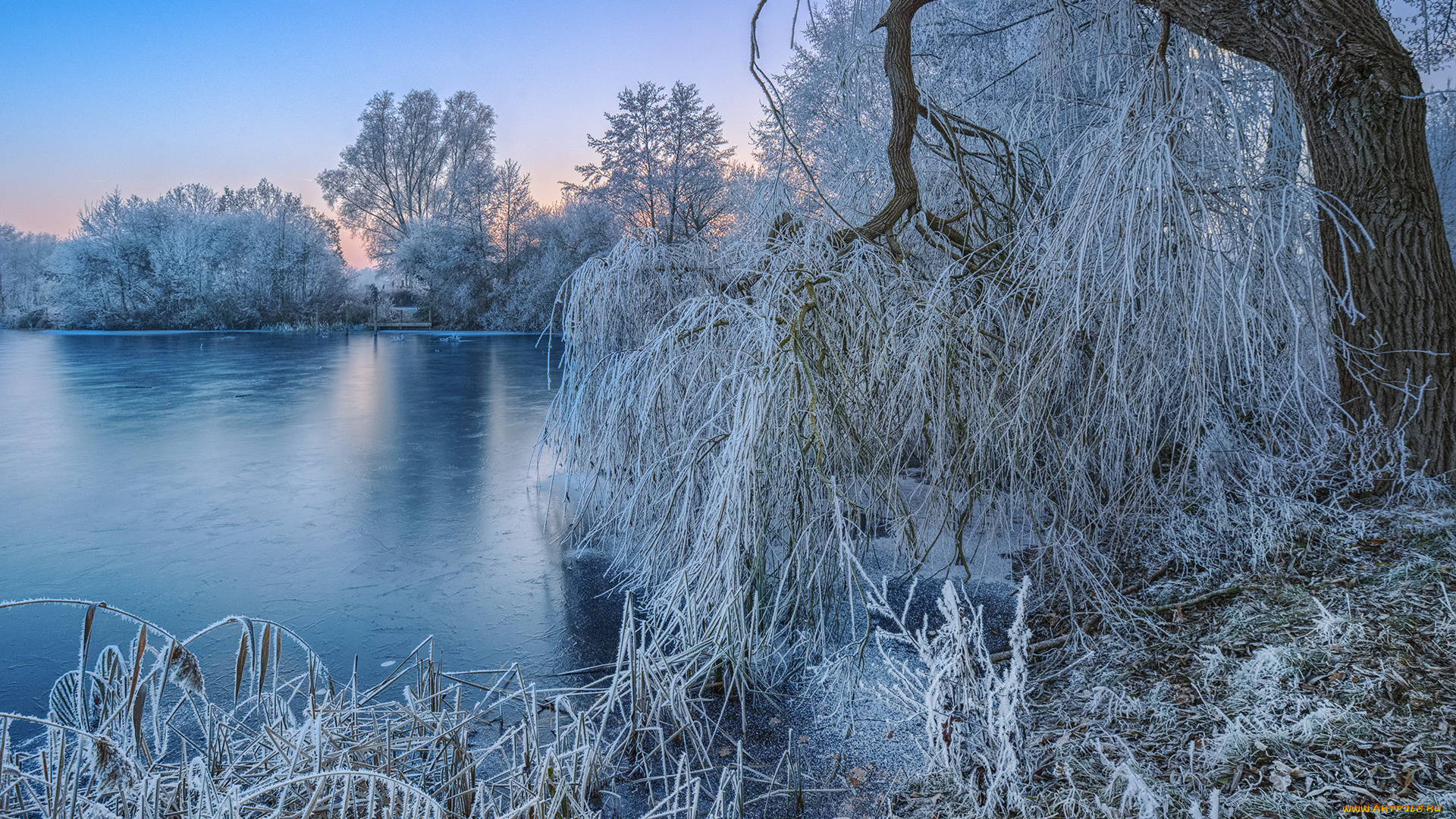 природа, реки, озера, лес, река