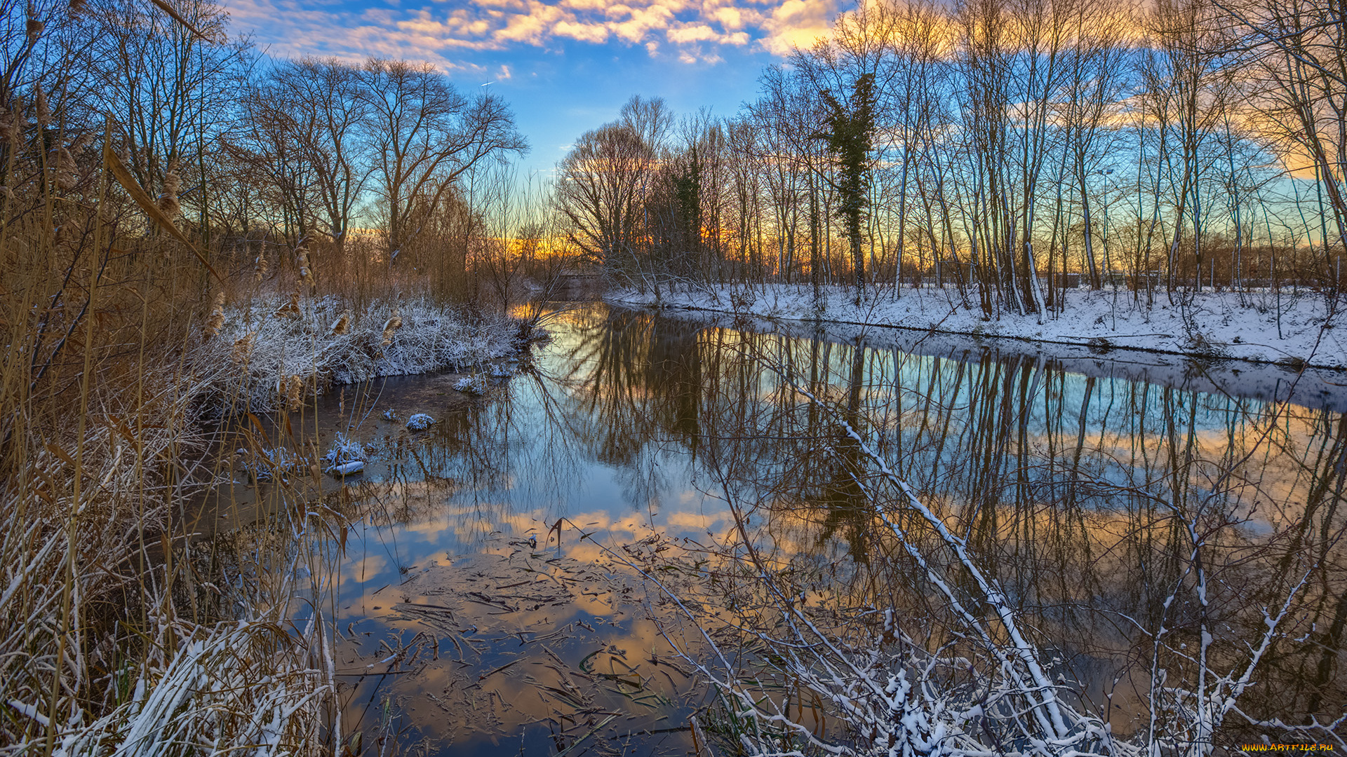 природа, реки, озера, лес, река