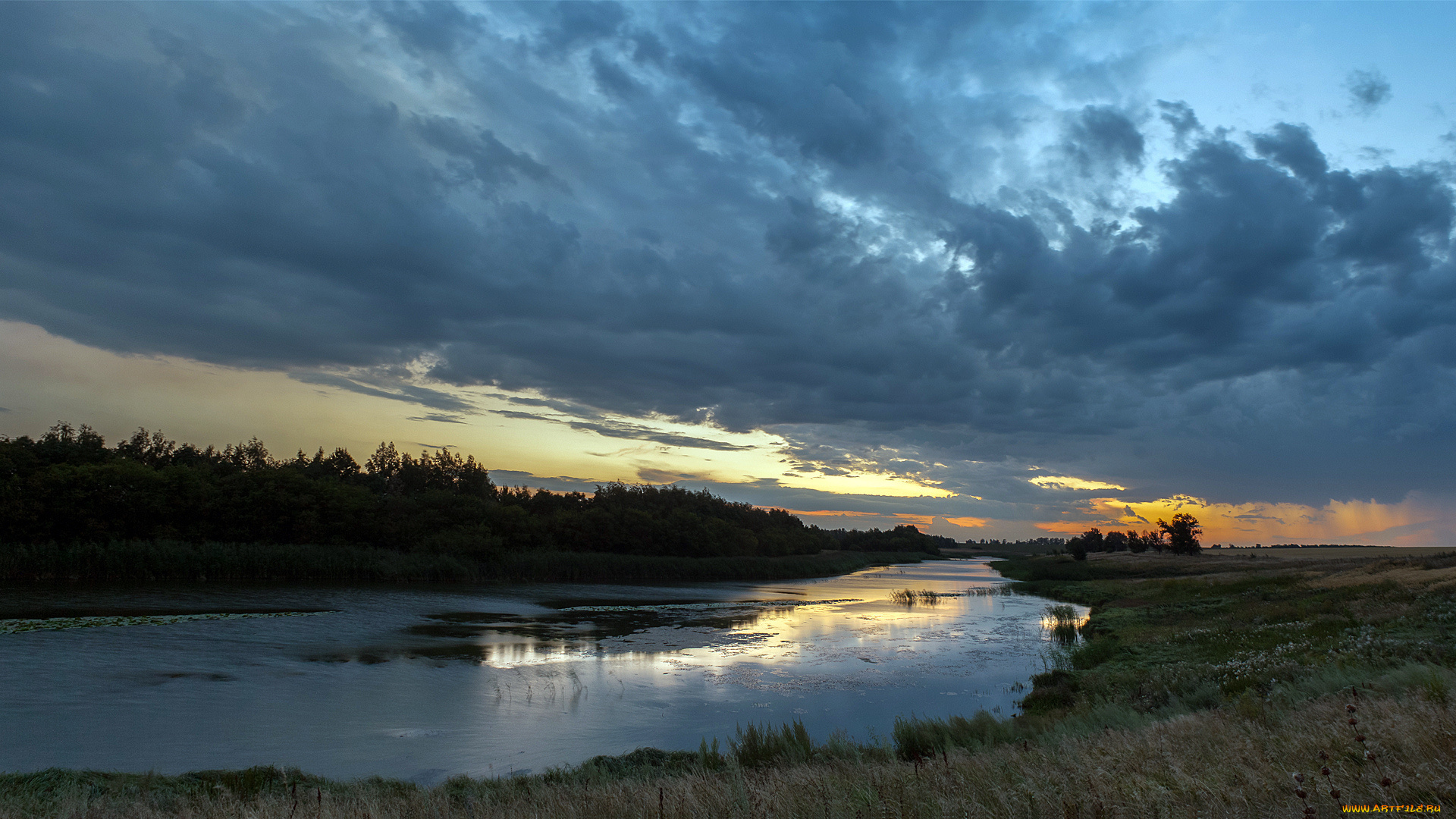 природа, реки, озера, река, деревья, лес