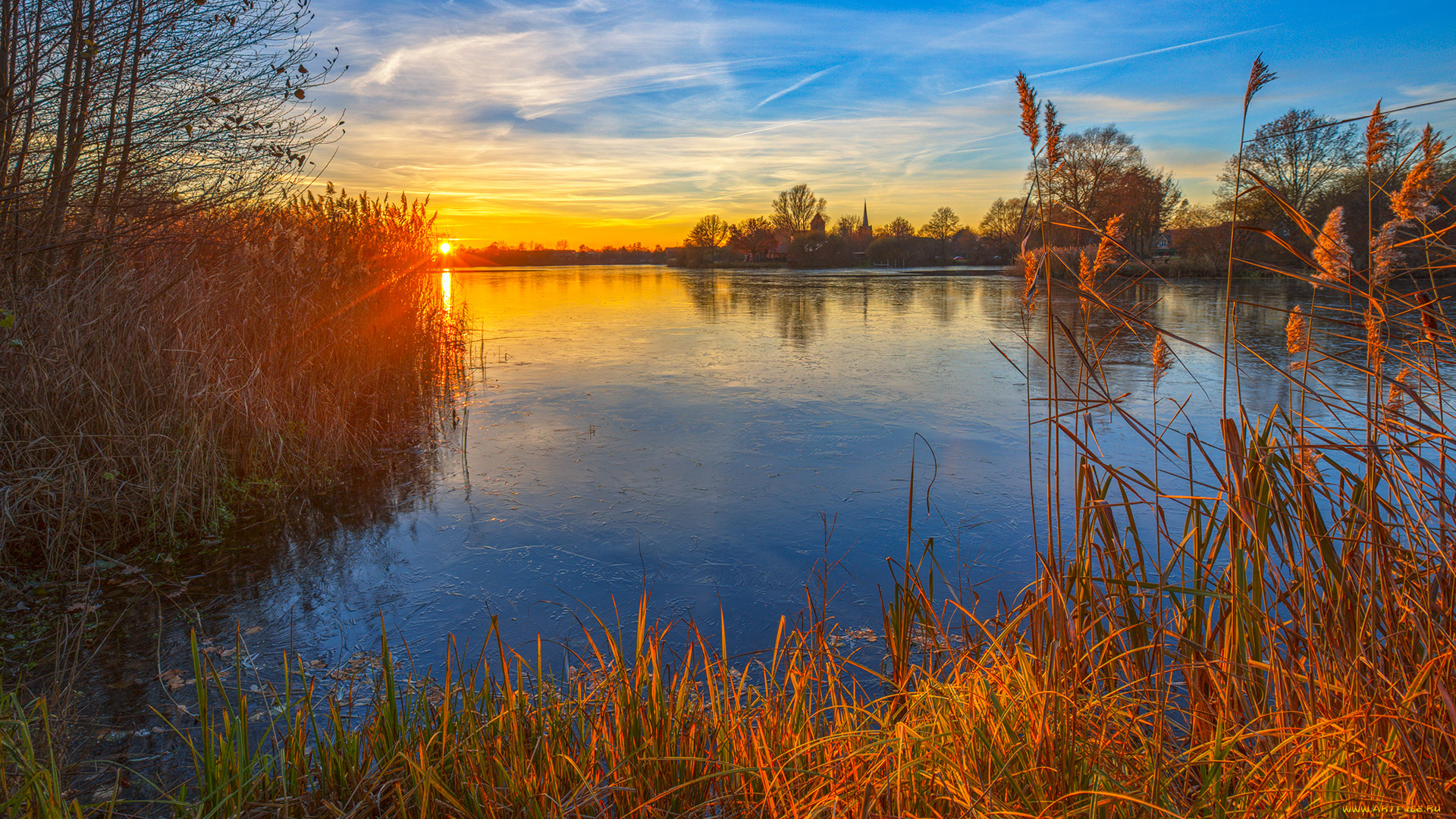 природа, реки, озера, река, лес