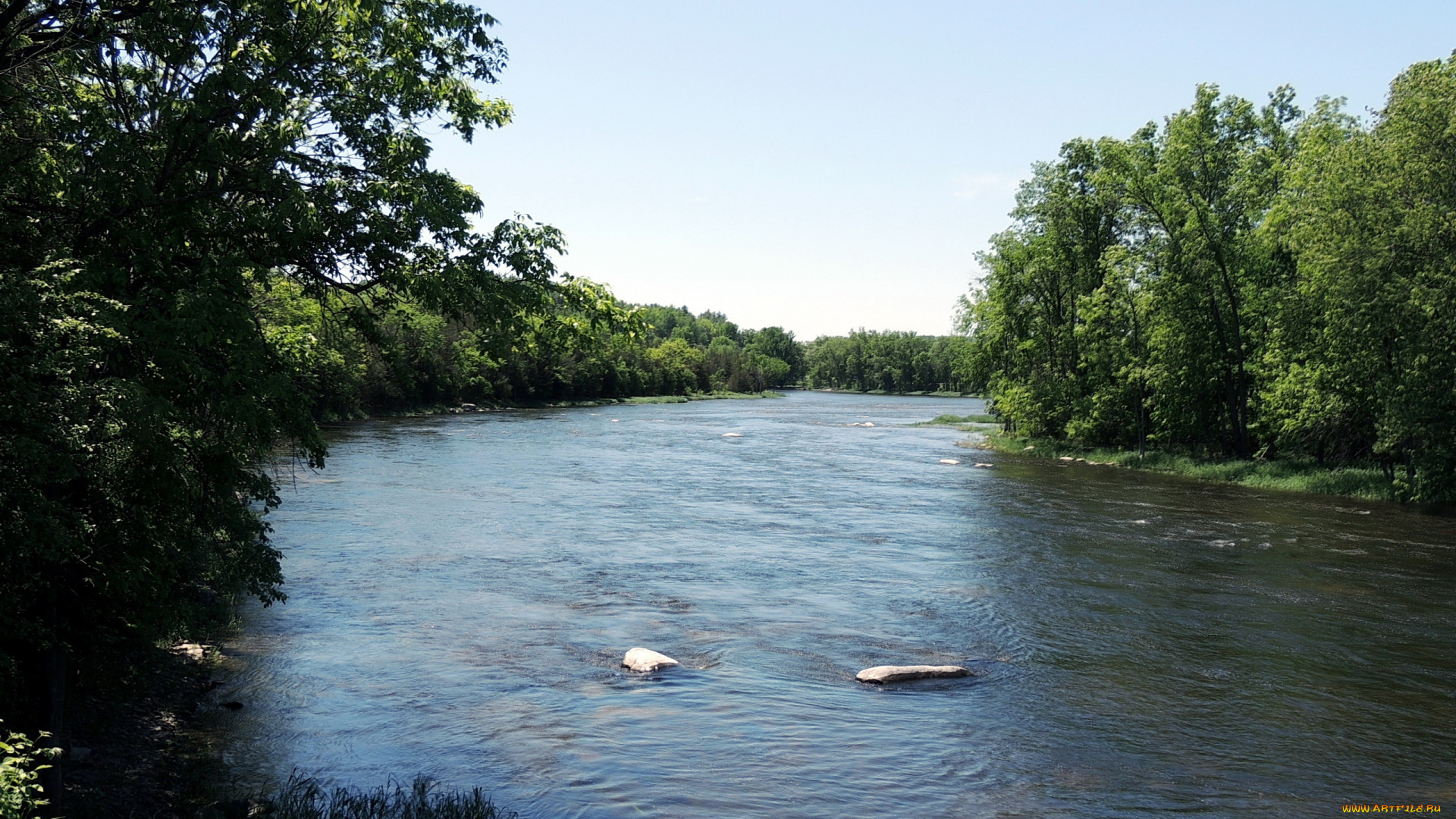 природа, реки, озера, река, лето, деревья