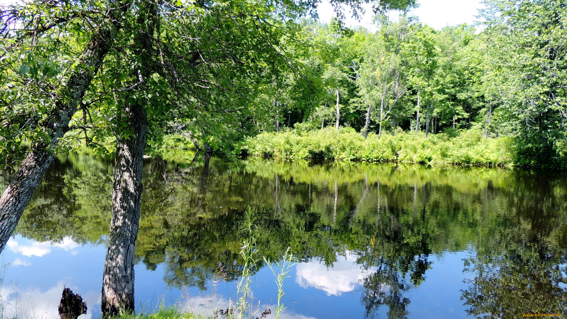 природа, реки, озера, вода, отражение