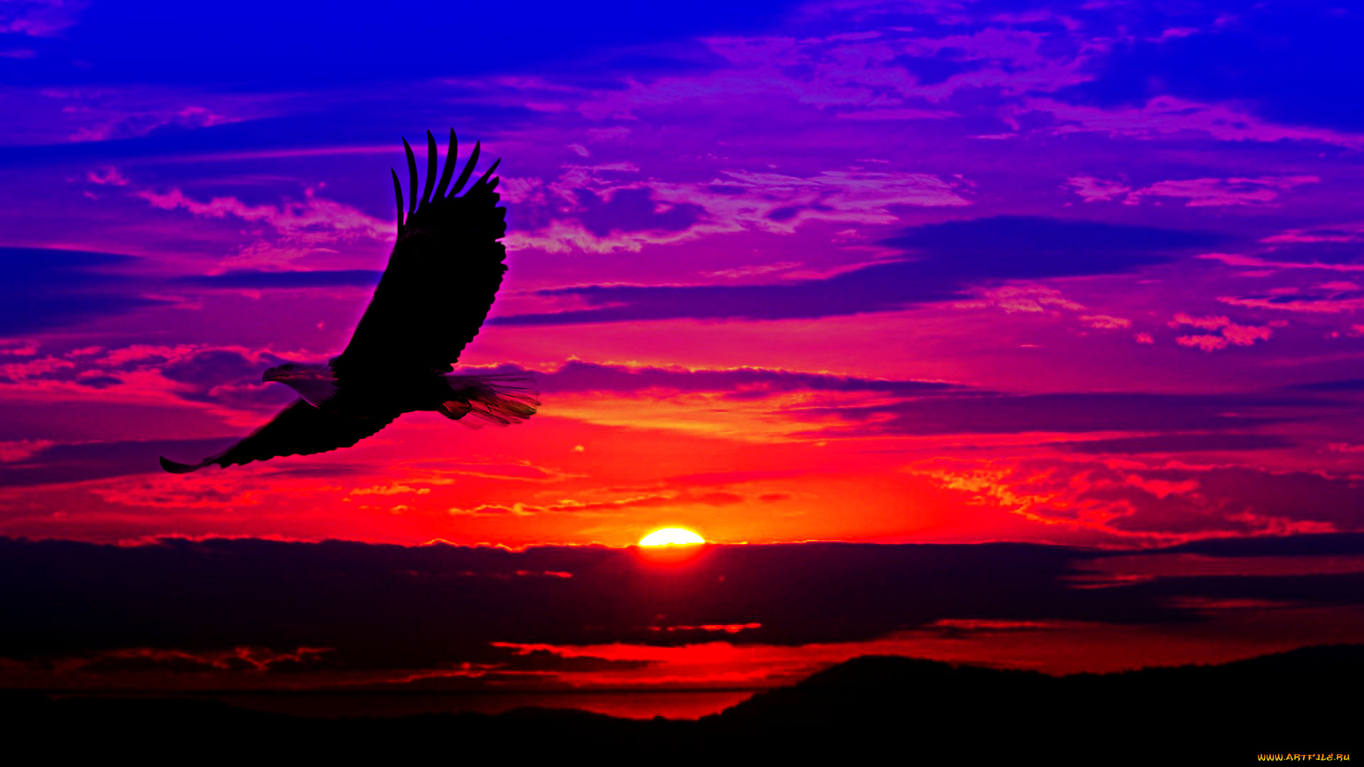 рисованное, животные, орел, полет