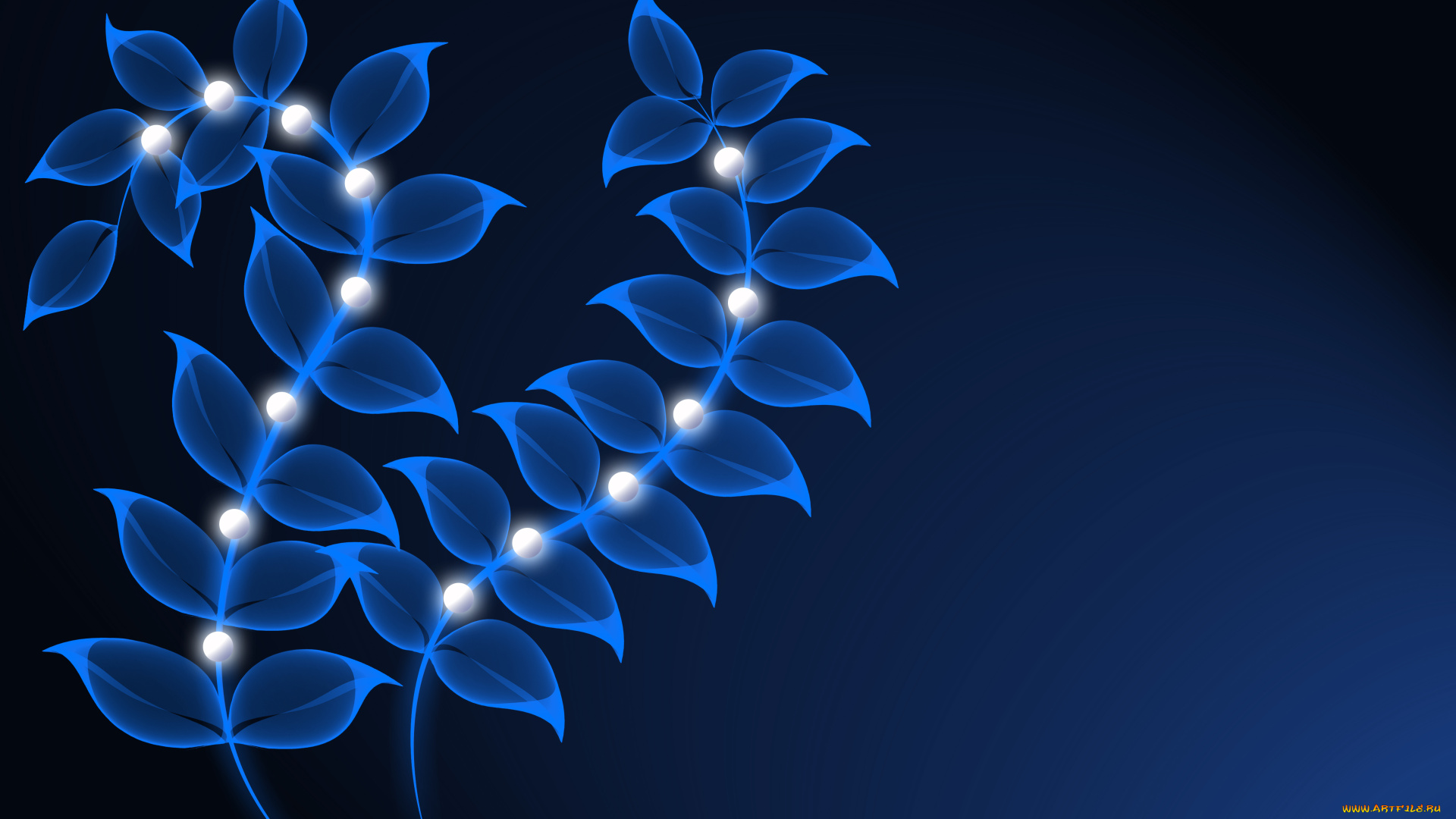 векторная, графика, природа, , nature, листья, фон