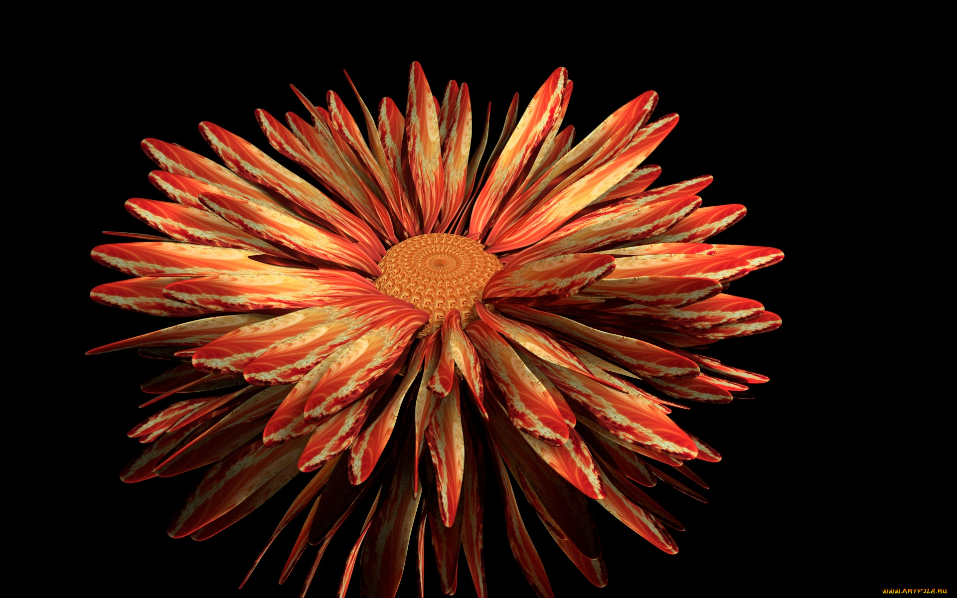 3д, графика, цветы, , flowers, фон, цветок