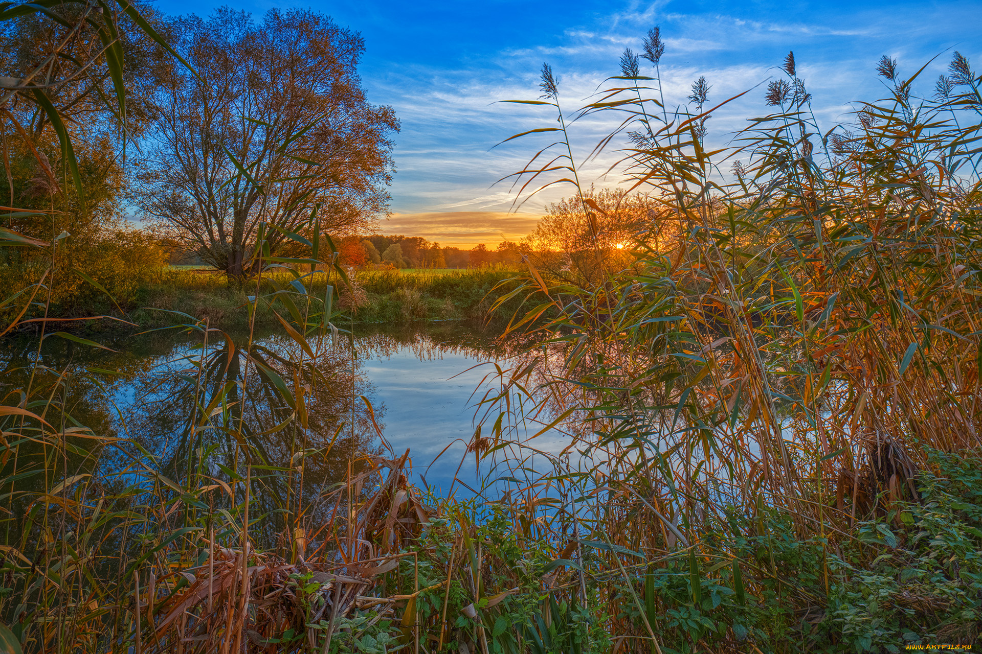 природа, реки, озера, лес, река