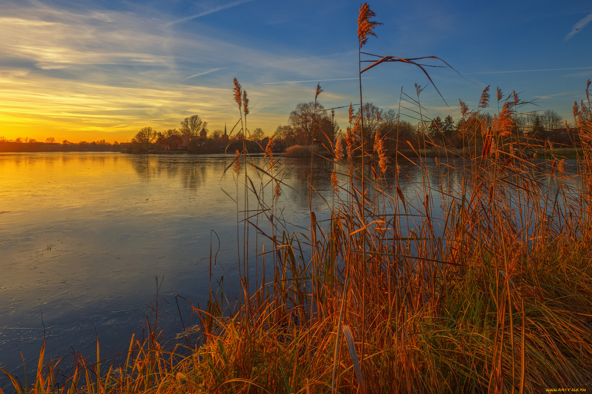 природа, реки, озера, лес, река