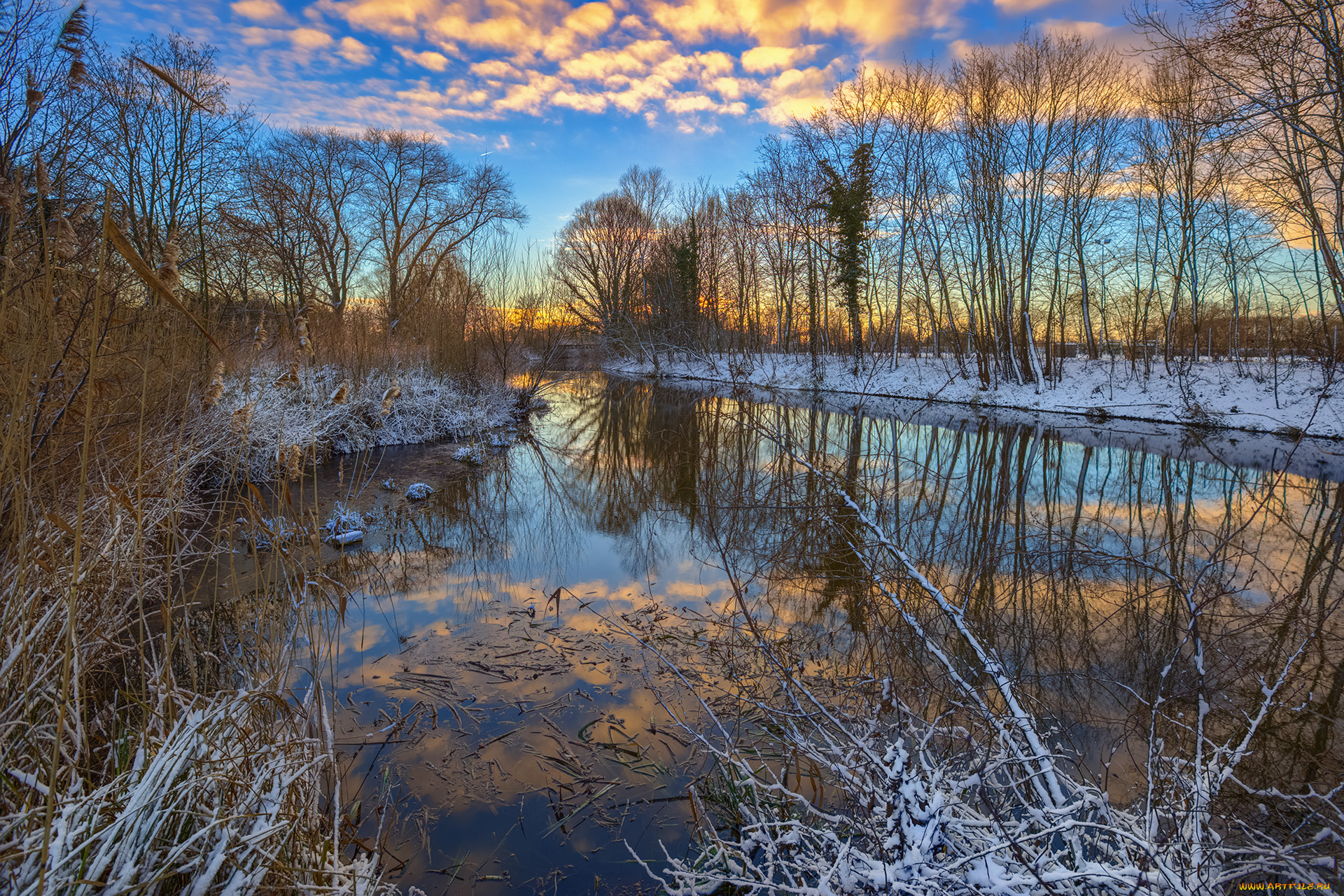 природа, реки, озера, лес, река
