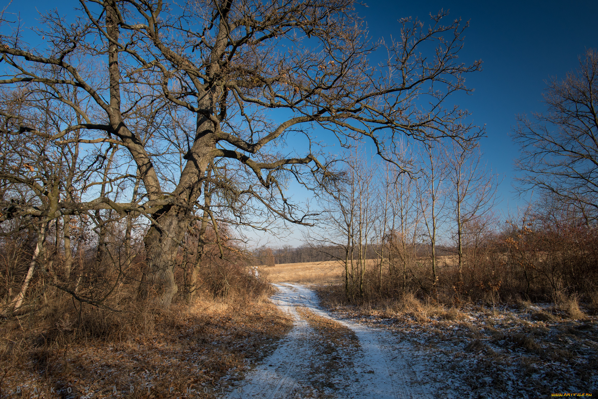 природа, дороги, тракт