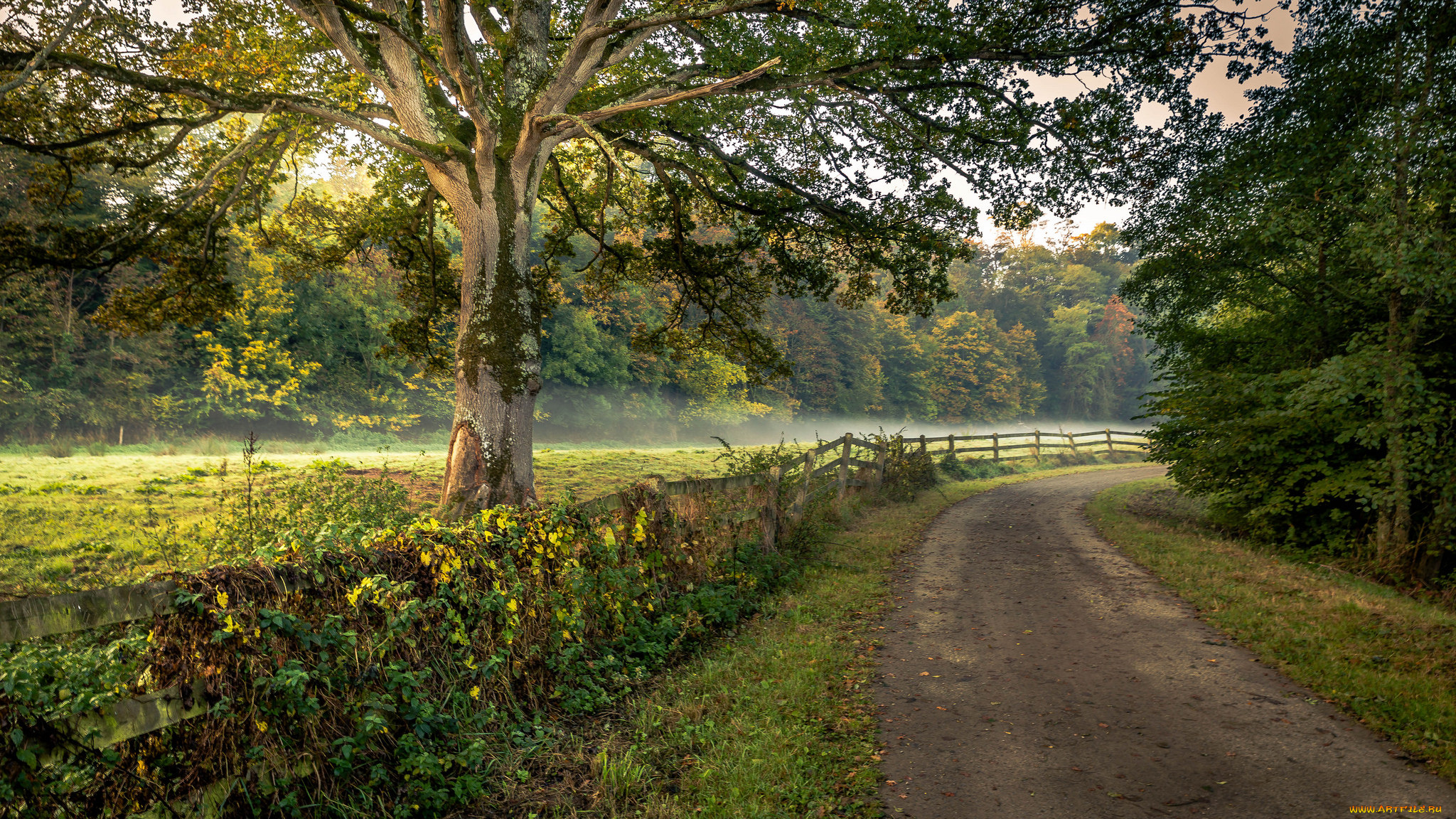 природа, дороги, тракт