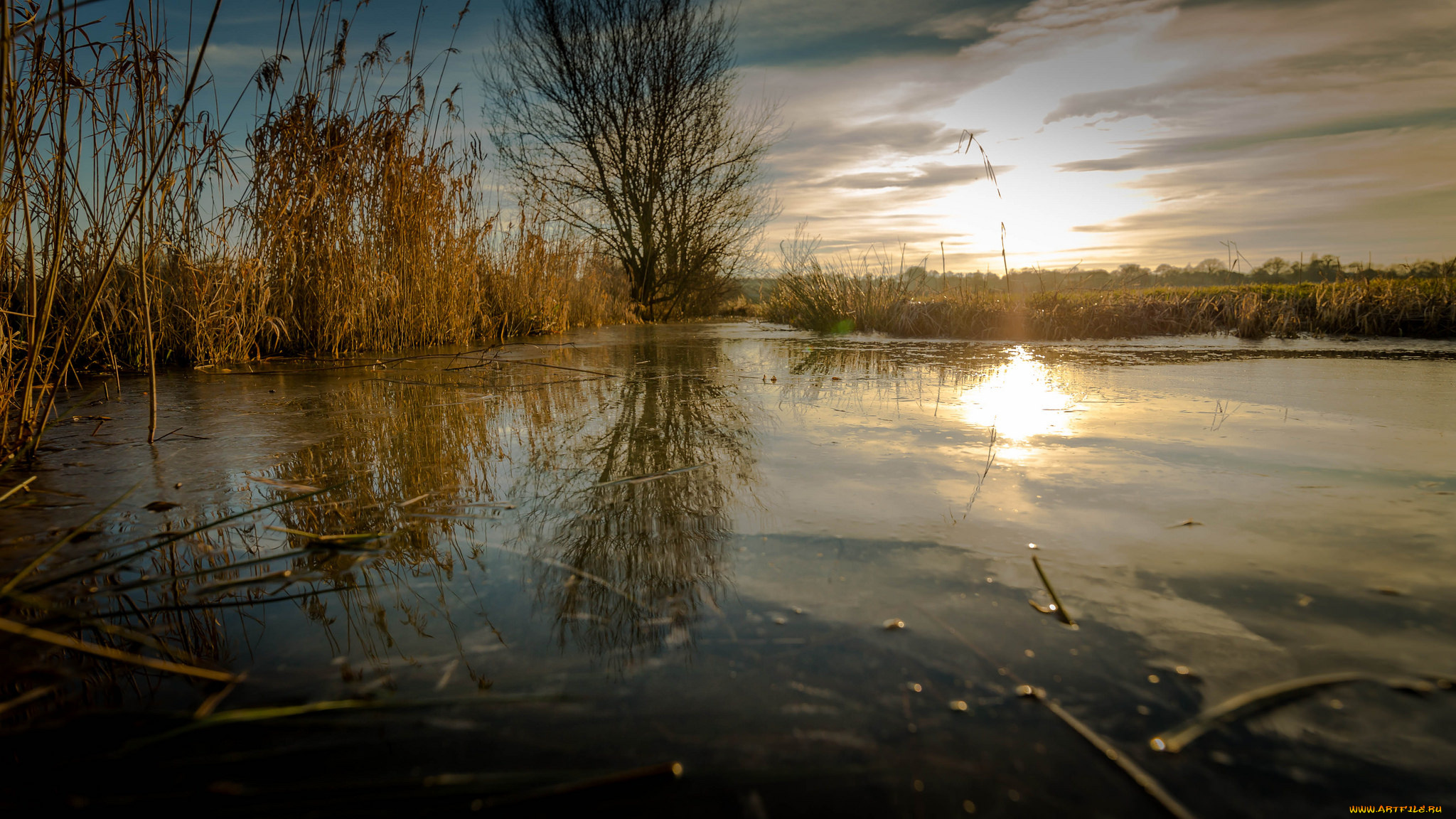 природа, реки, озера, рассвет